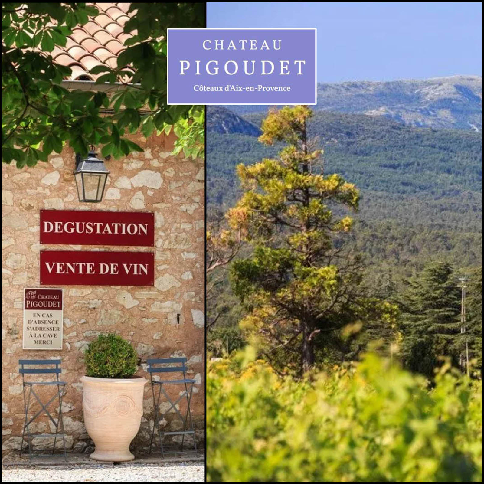 6er-Sparpaket Aix en Provence Rosé 2025 Première