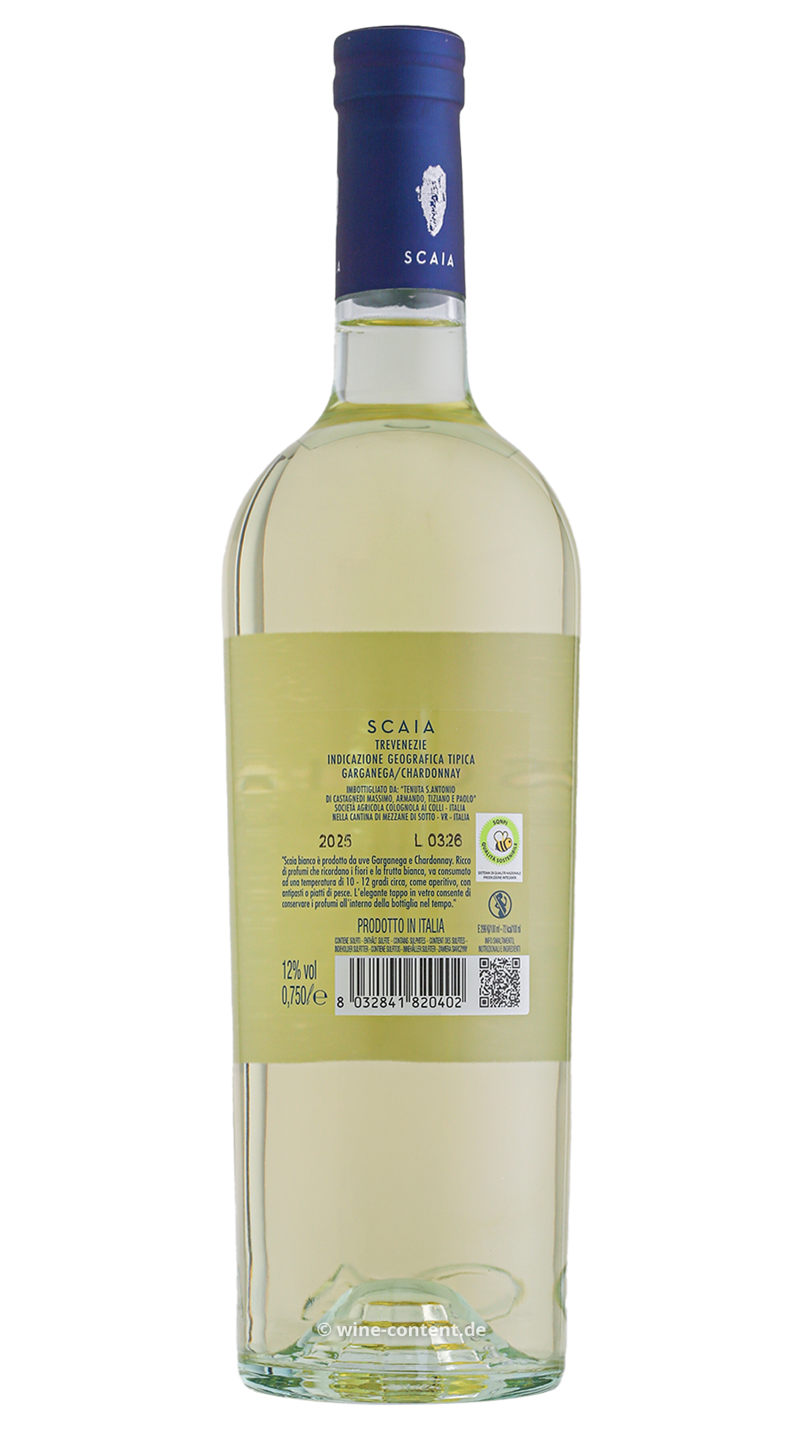 9er-Sparpaket Scaia Bianco 2025
