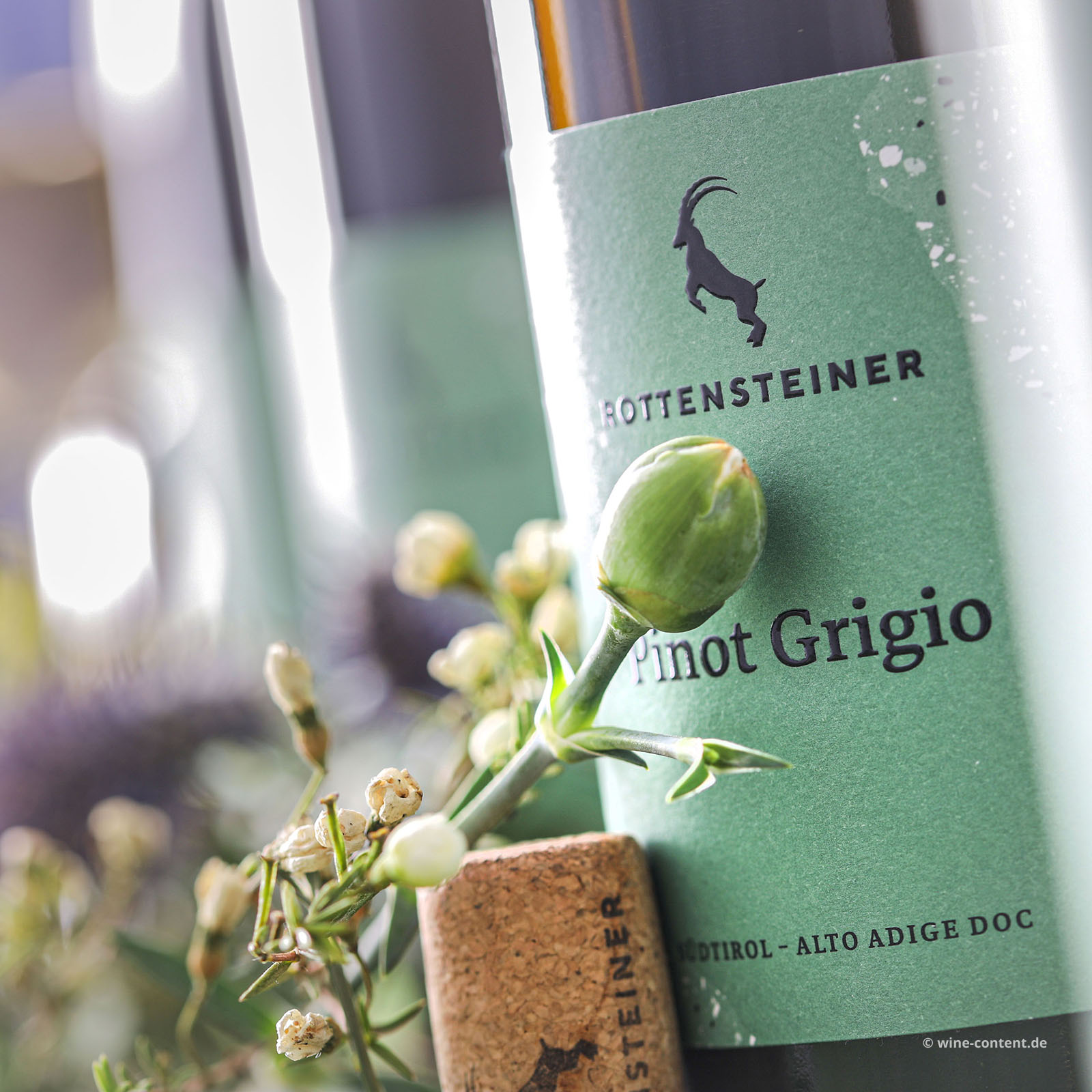 6er-Sparpaket Pinot Grigio 2025