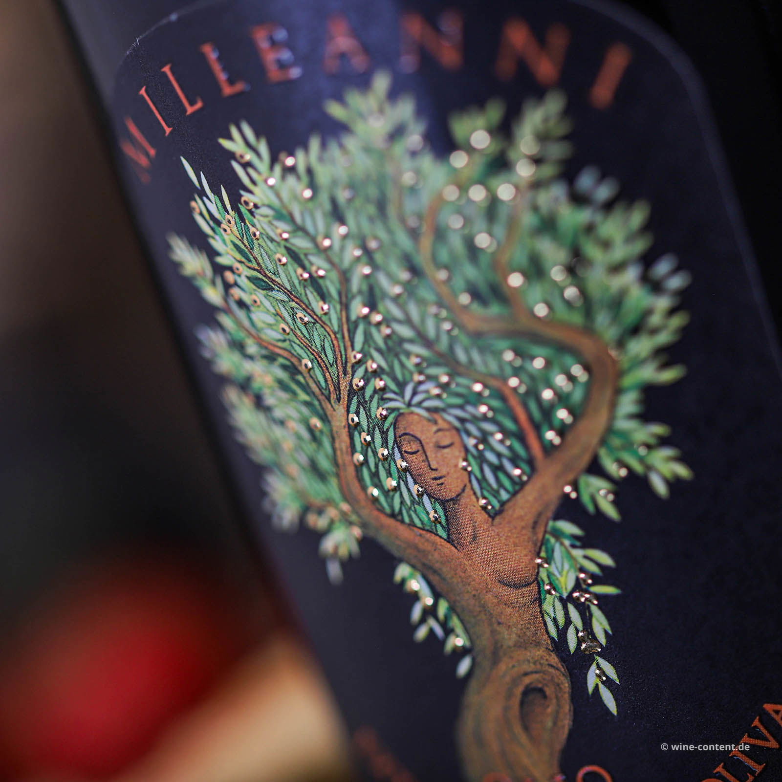 0,5 L Olivenöl Extra Vergine 2024 Milleanni