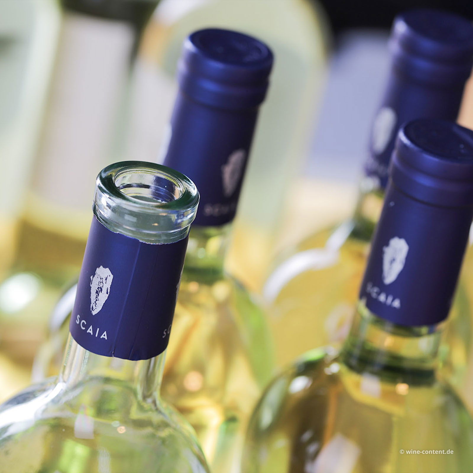 9er-Sparpaket Scaia Bianco 2024 9er-Sparpaket Scaia Bianco 2024