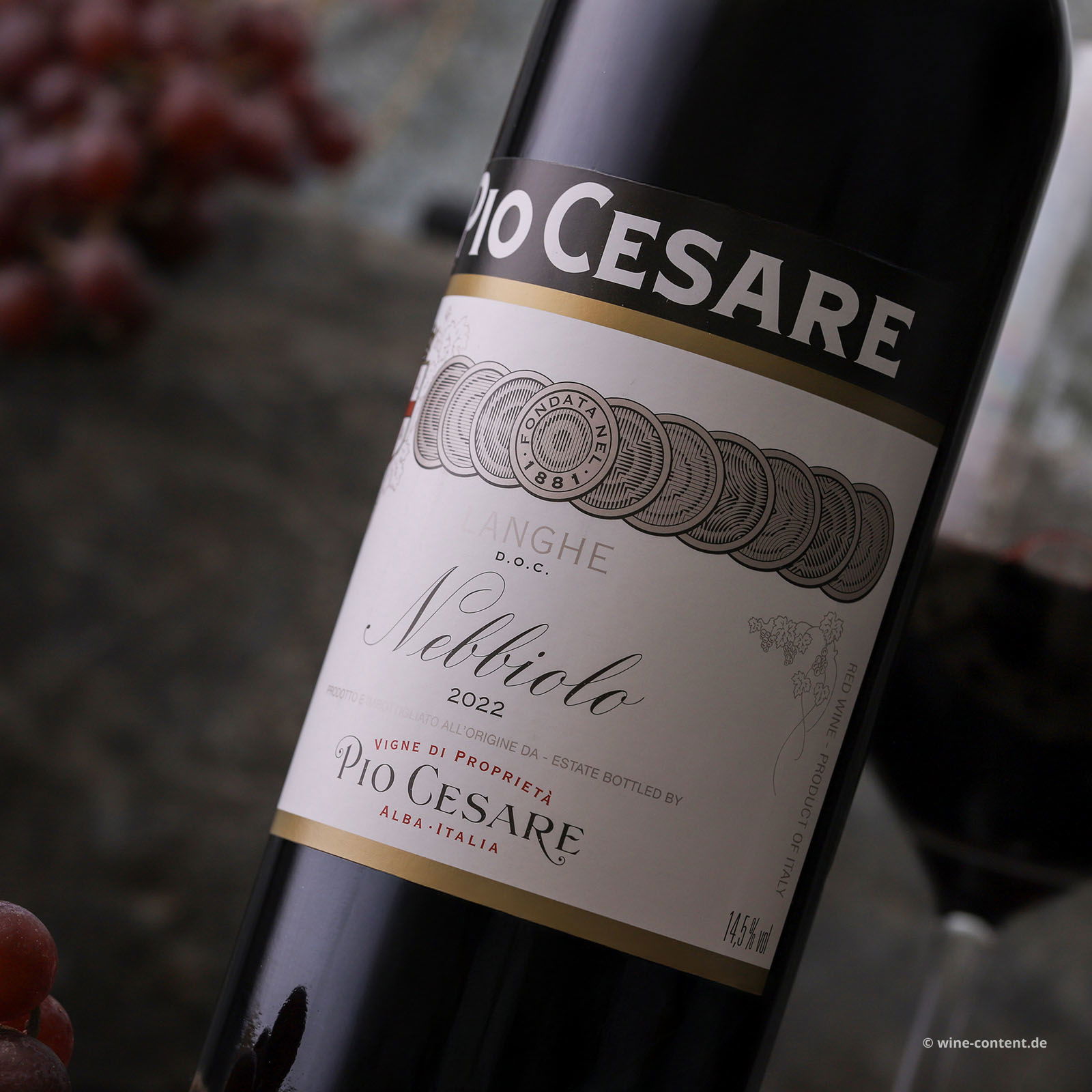 Nebbiolo Langhe 2022