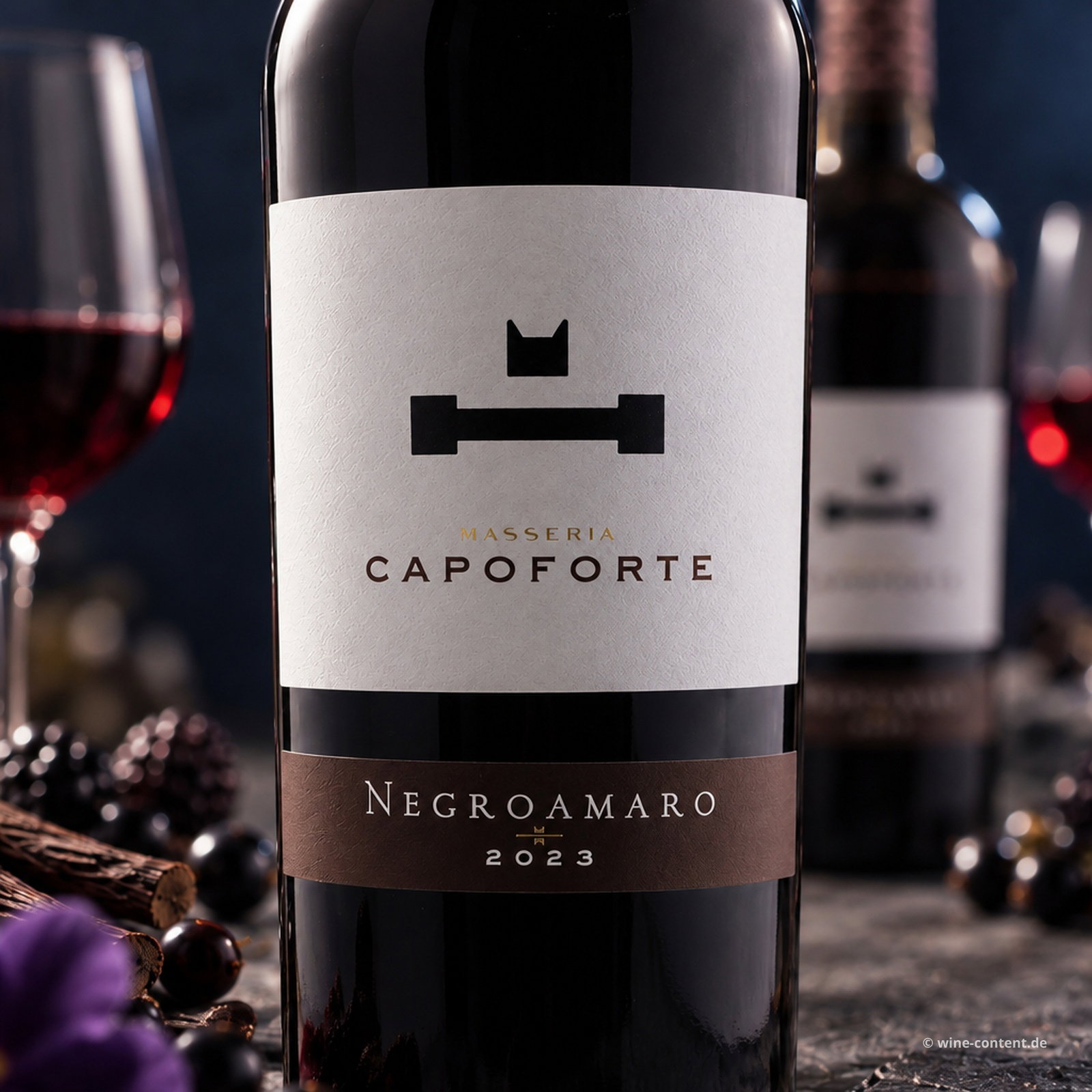 Negroamaro Salento 2023