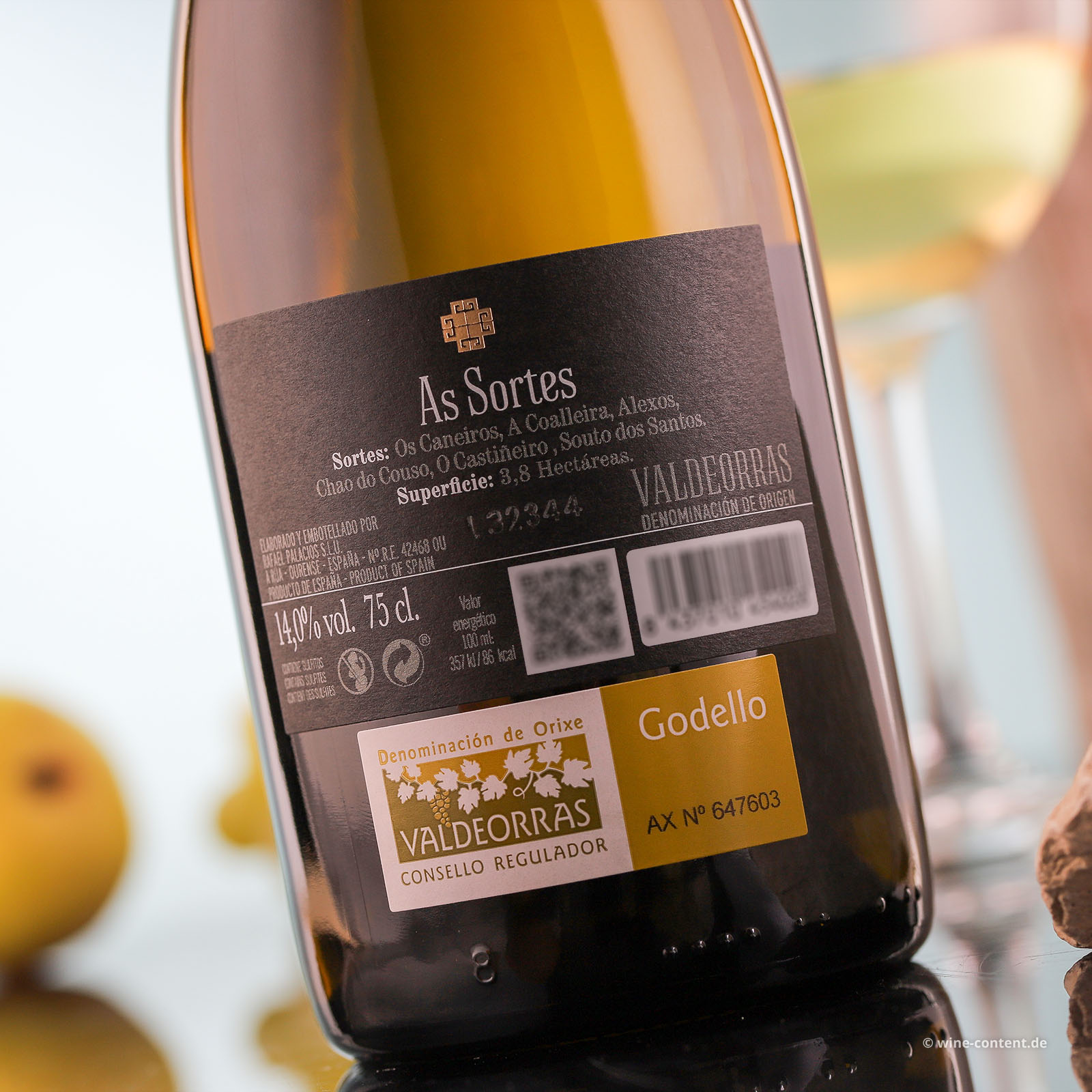 Rafael Palacios - Godello 2024 As Sortes