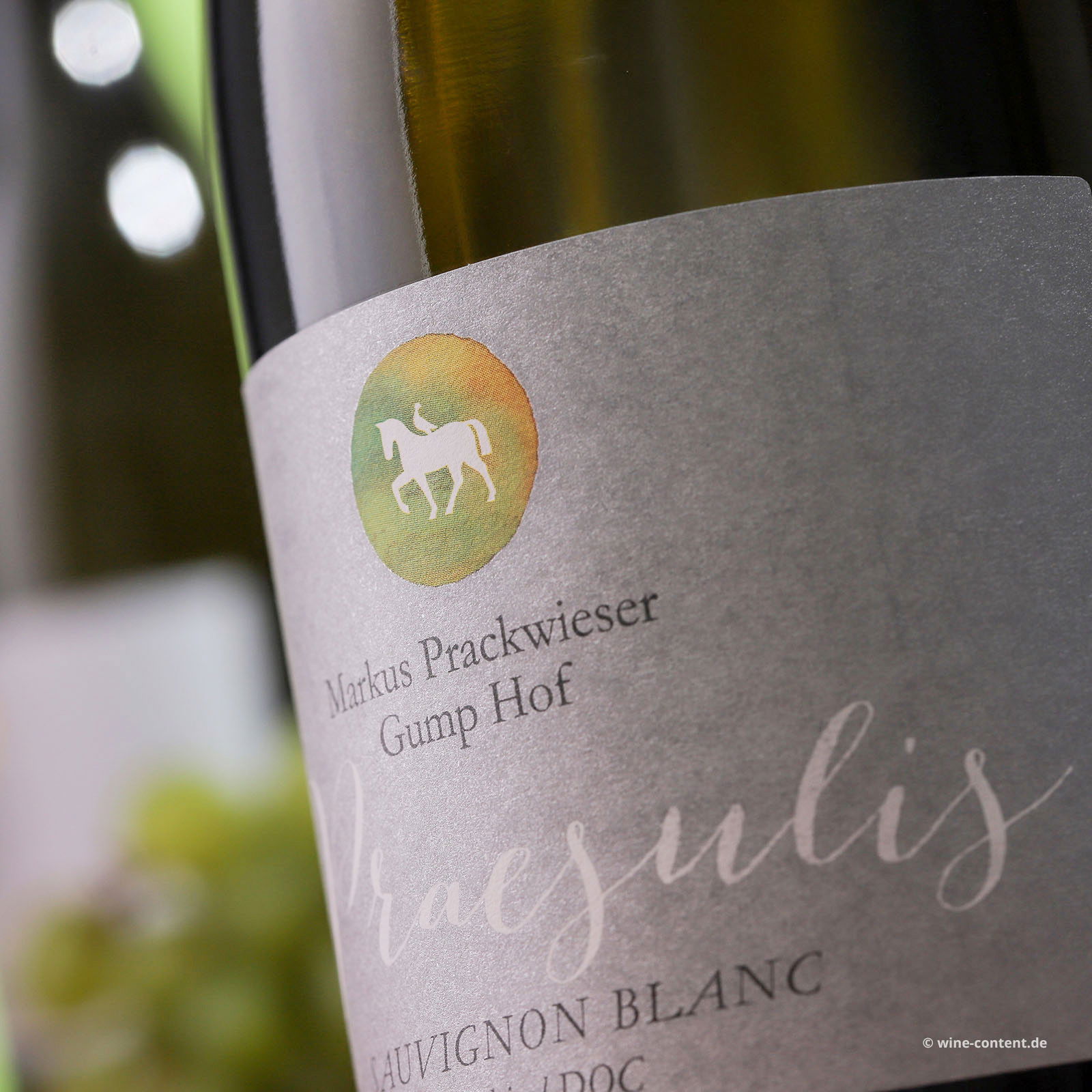 Sauvignon Blanc 2024 Praesulis