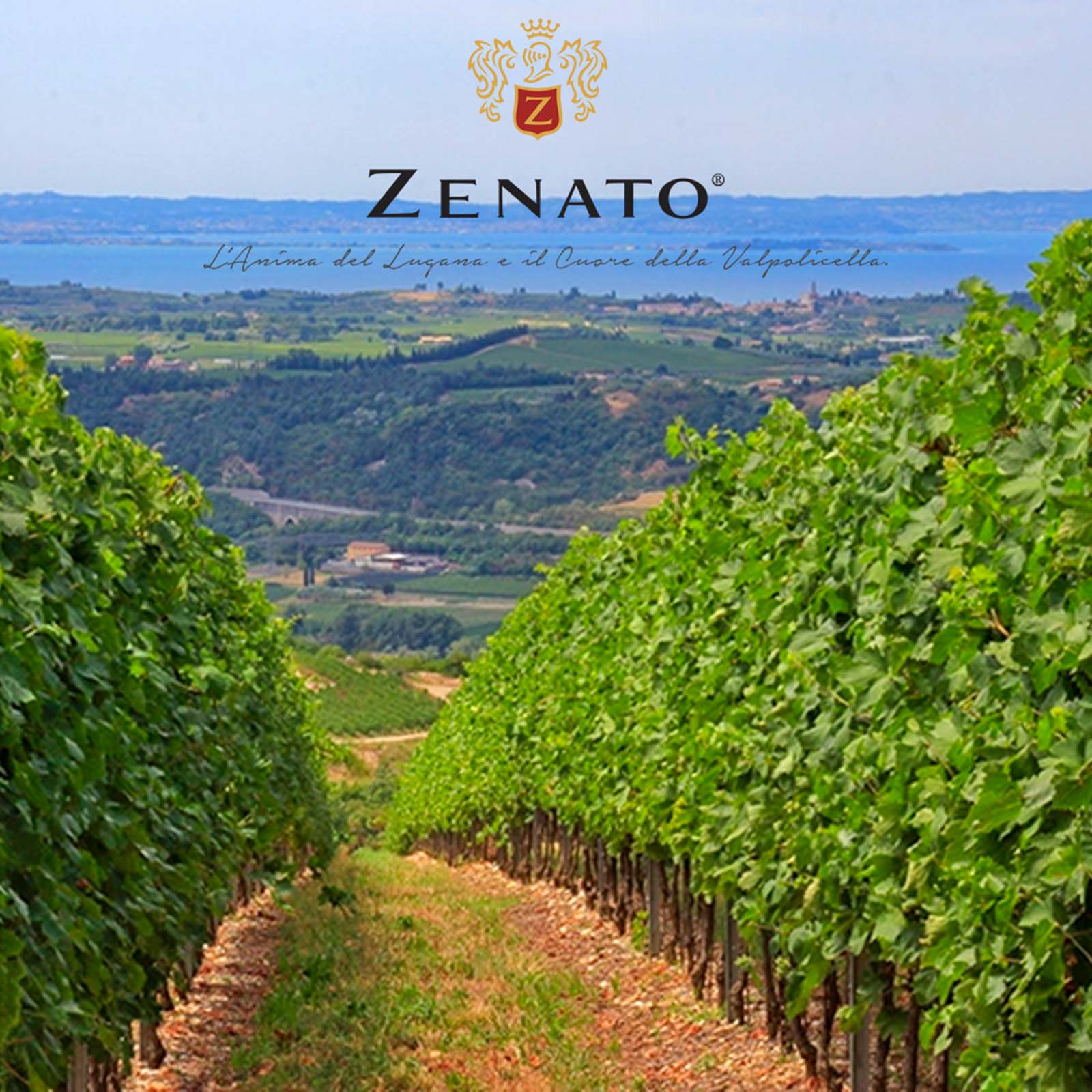 6er-Sparpaket Lugana 2024 Santa Cristina