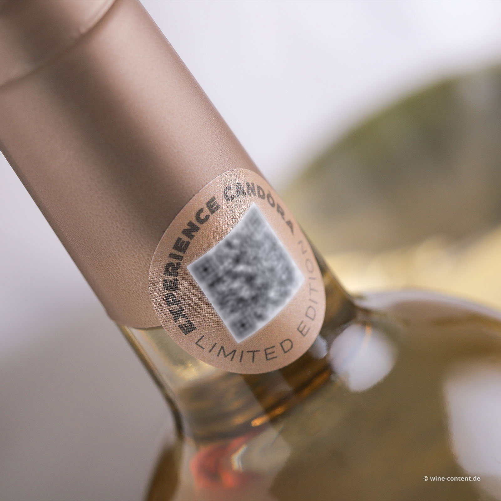 Chardonnay Salento 2025 Candòra