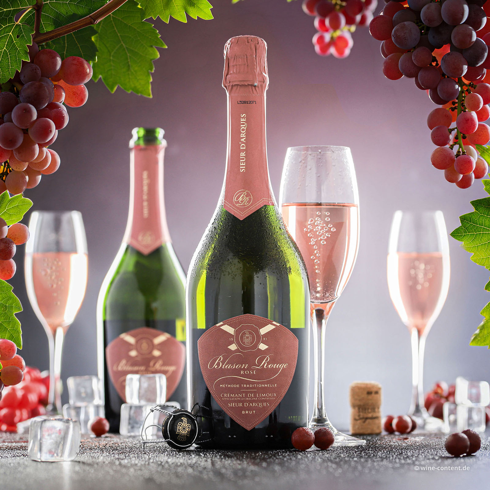 Crémant de Limoux Rosé Blason Rouge Brut