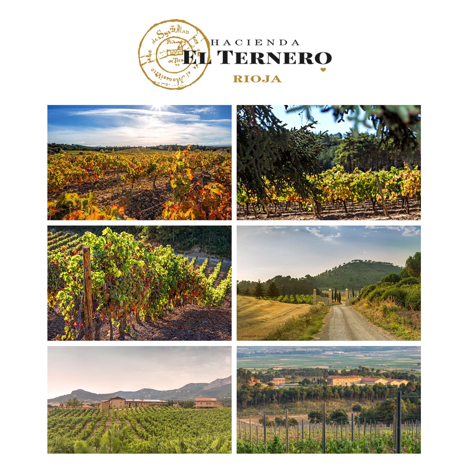 Rioja Blanco 2024 La Pera