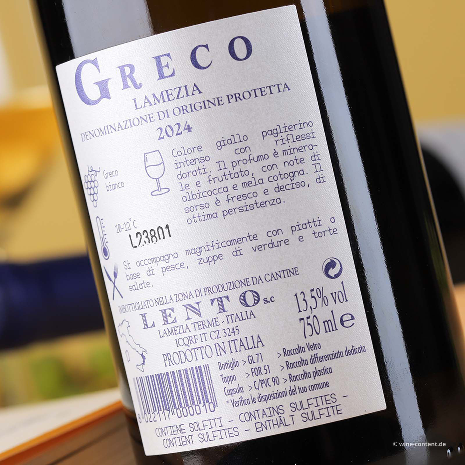 Greco Lamezia 2024