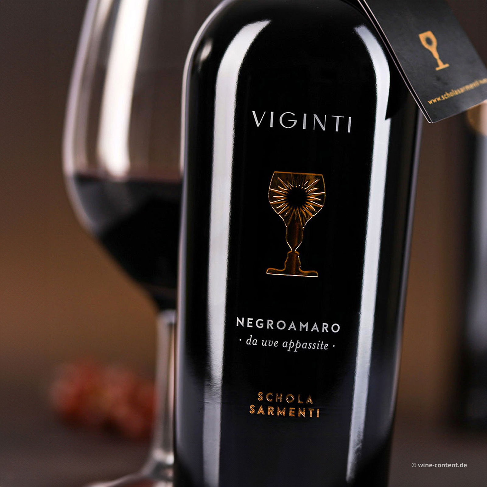 Negroamaro Salento Appassite 2019 Viginti