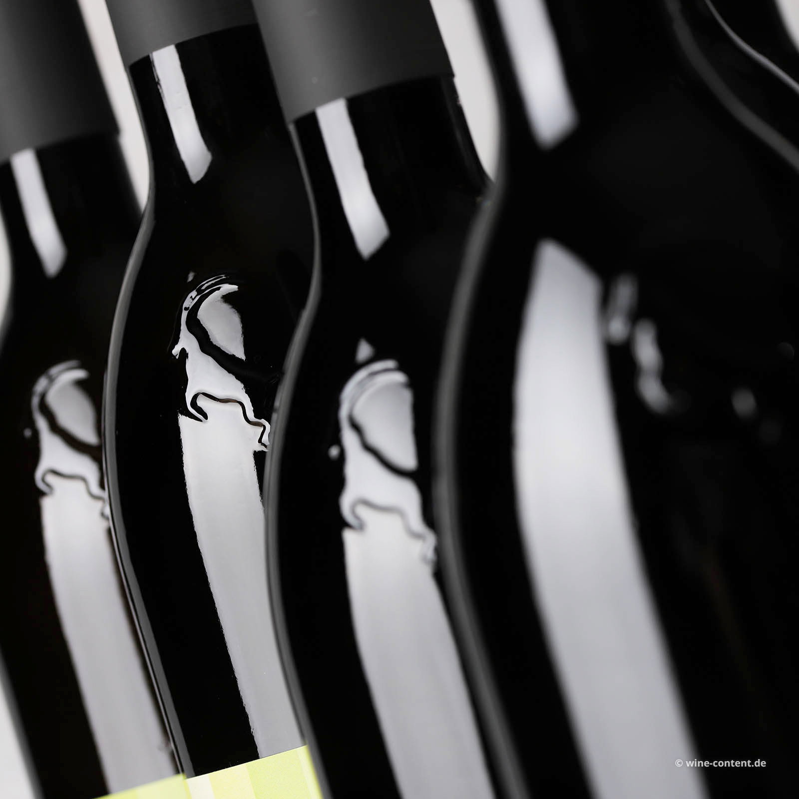 6er-Sparpaket Kitz 2025