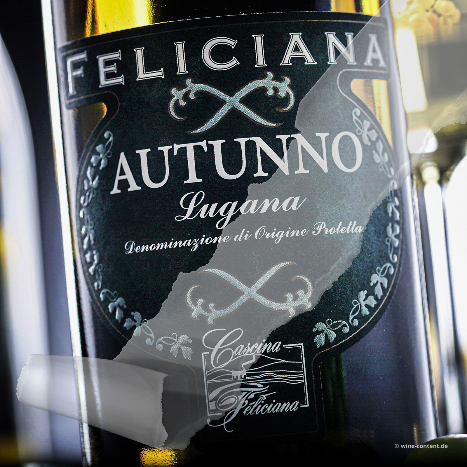 Lugana 2024 Autunno (Lagerschaden)