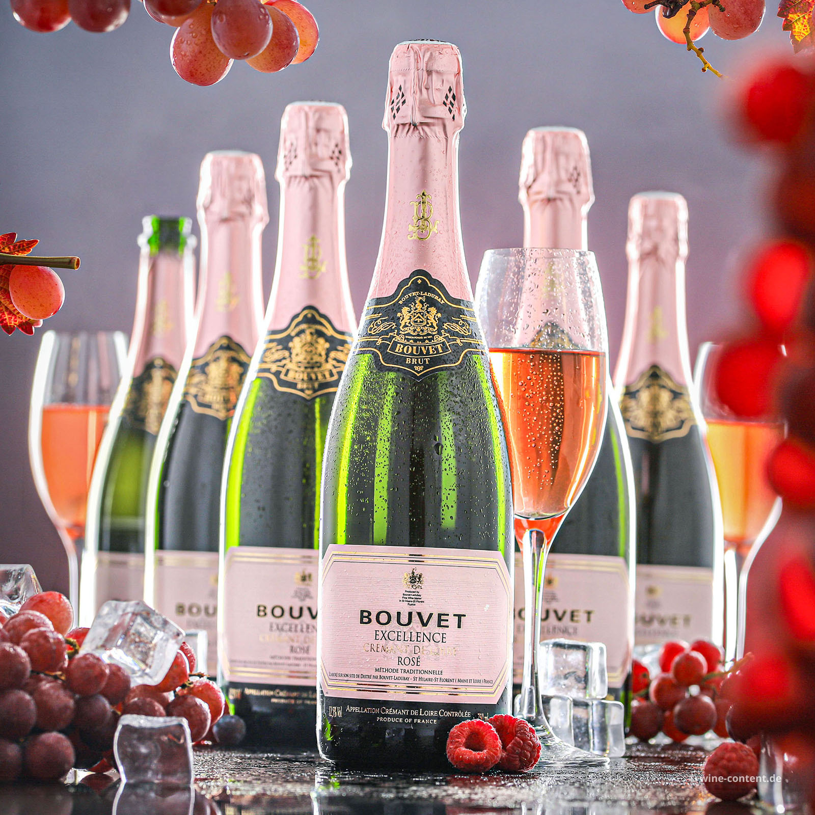 6er-Sparpaket Crémant de Loire Rosé Excellence Brut - NEU
