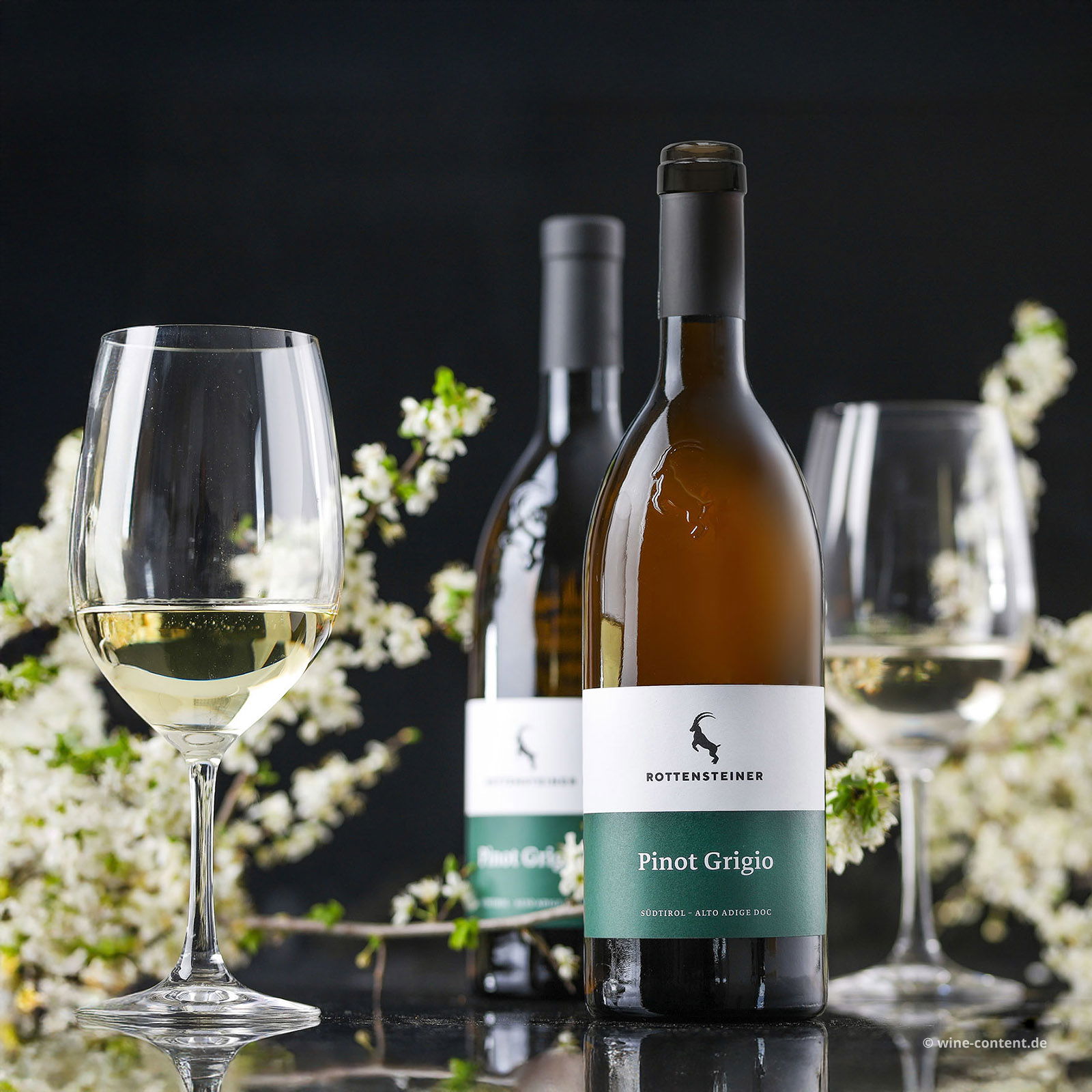  Pinot Grigio 2024