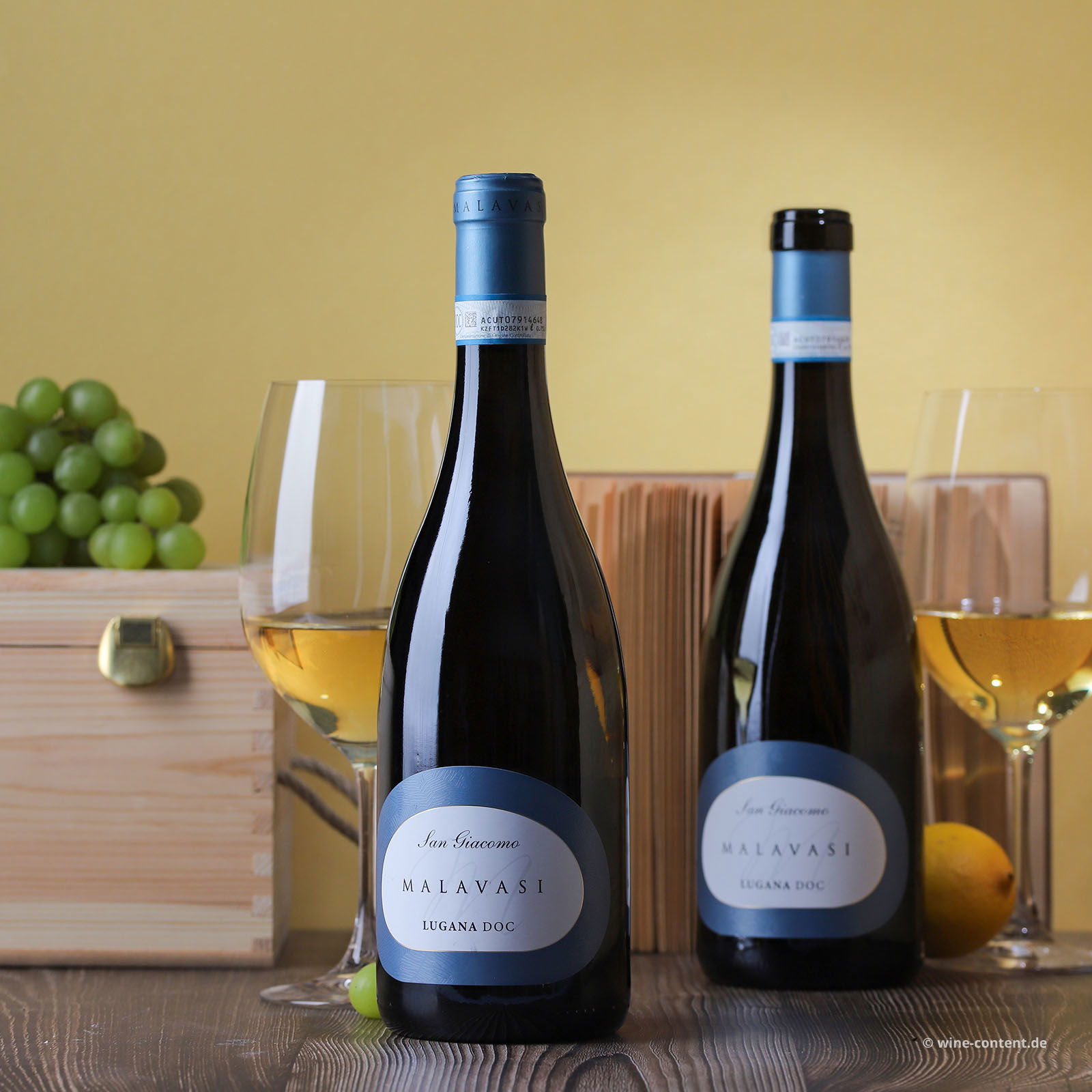 Lugana 2024 San Giacomo