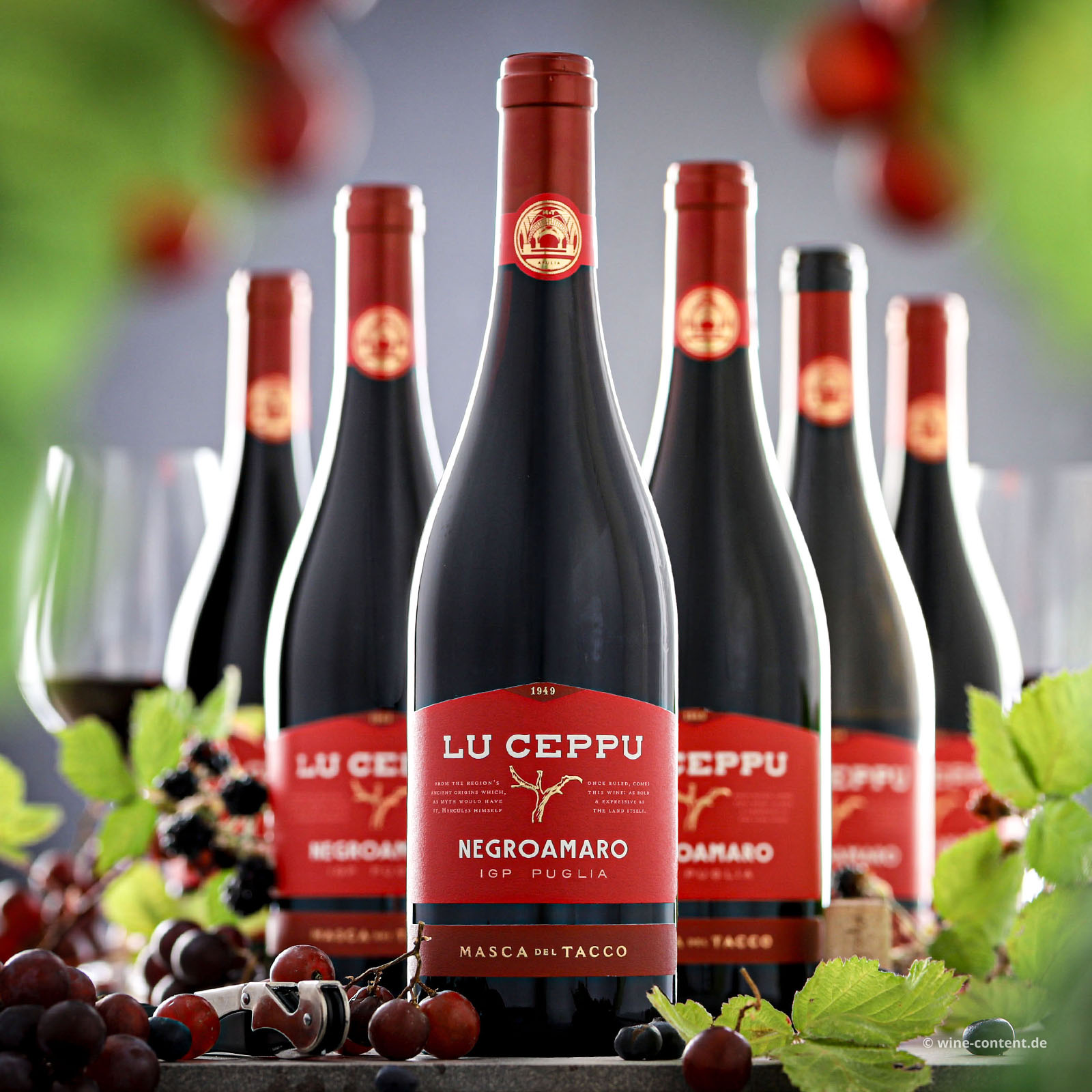 6er-Sparpaket Negroamaro 2025 Lu Ceppu