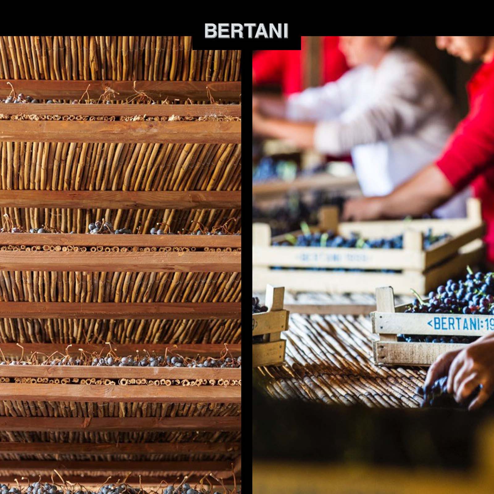 Amarone Classico 2015 Magnum