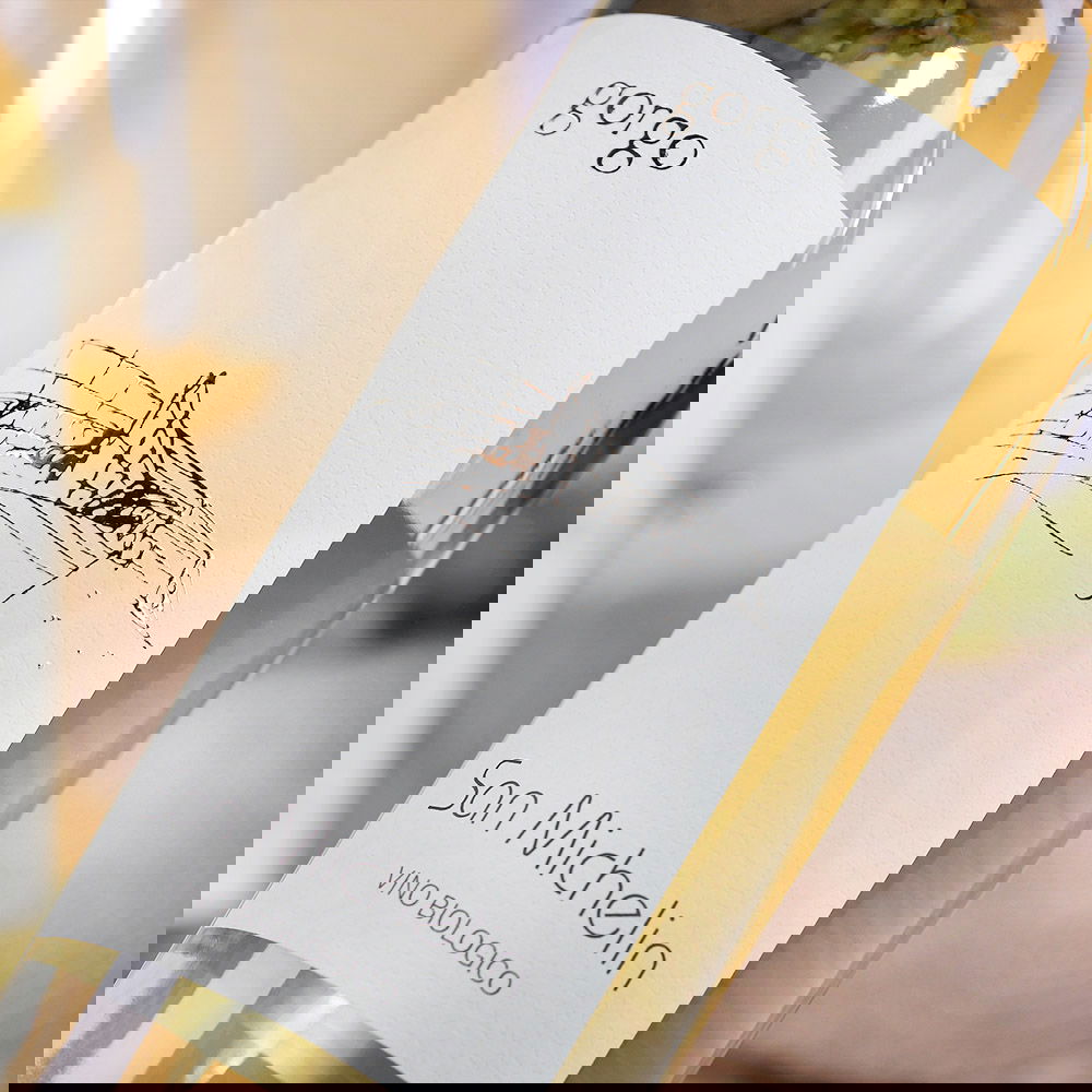 Custoza 2025 San Michelin Bio