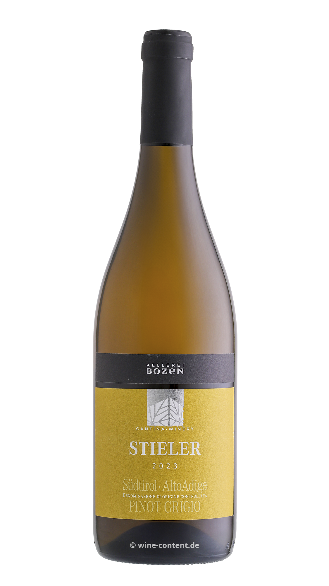Pinot Grigio 2023 Stieler