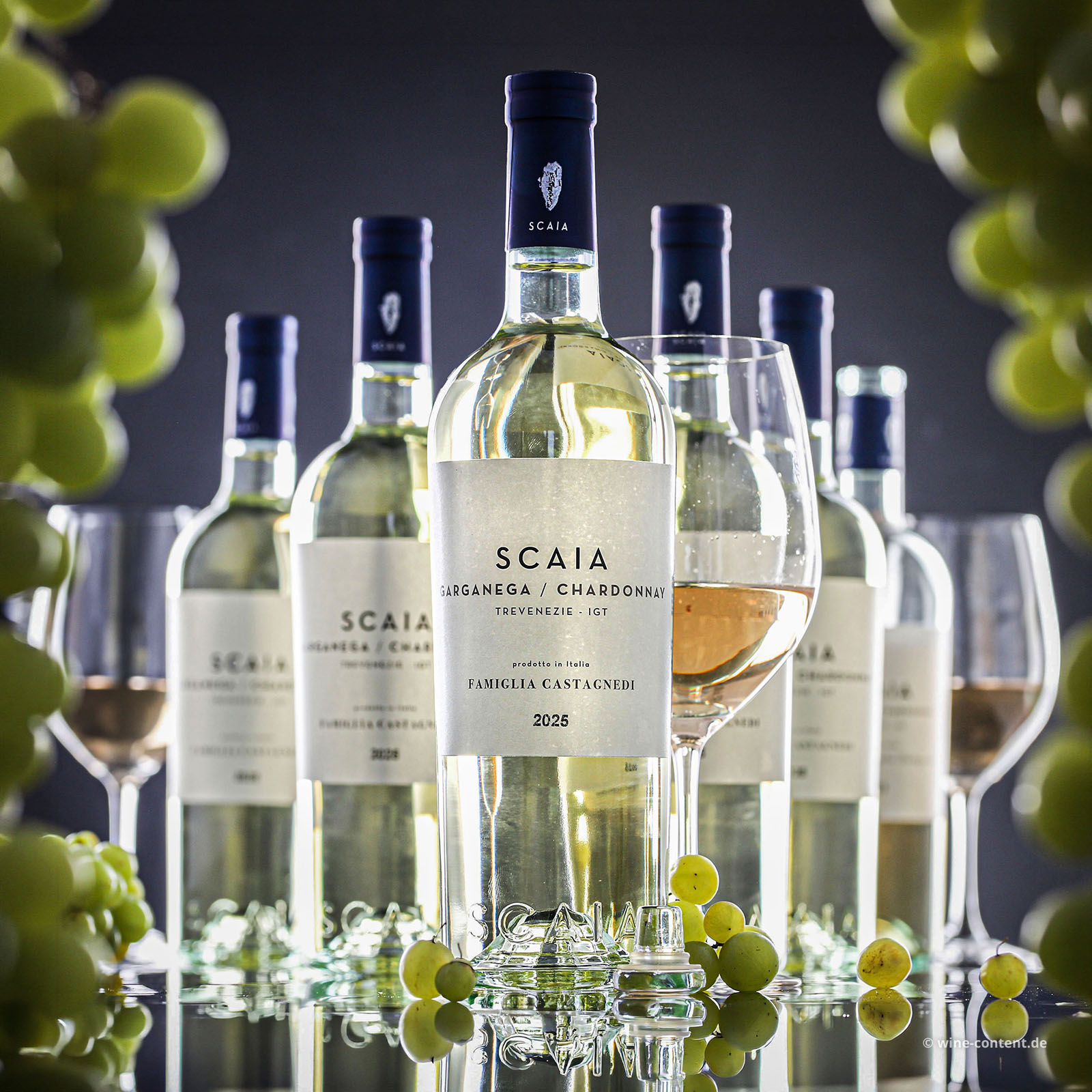 6er-Sparpaket Scaia Bianco 2025