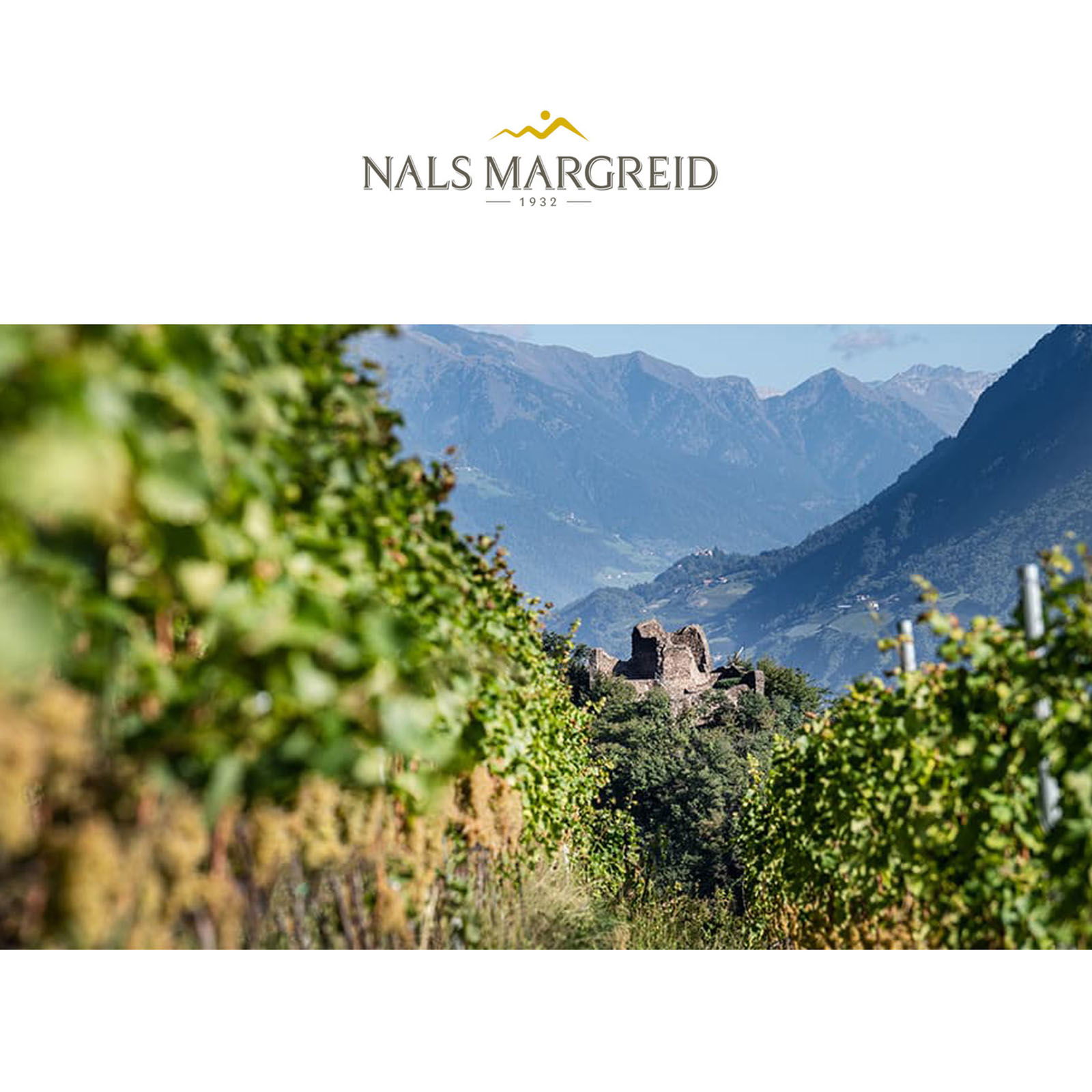 Sauvignon Blanc 2024 Gennen Sauvignon Blanc 2024 Gennen