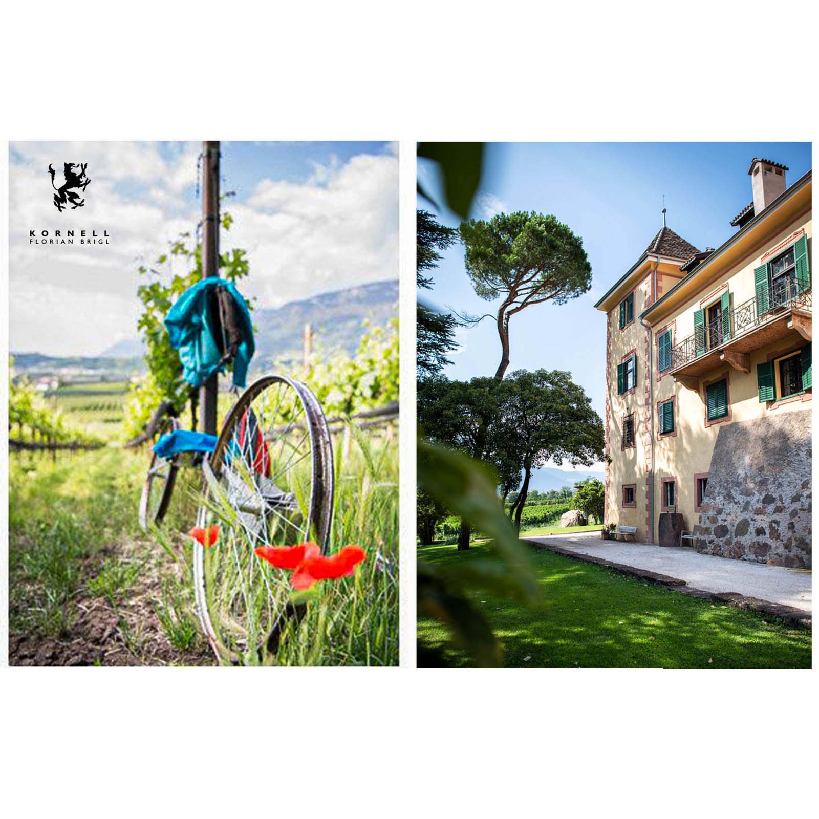 Aichberg Riserva 2023