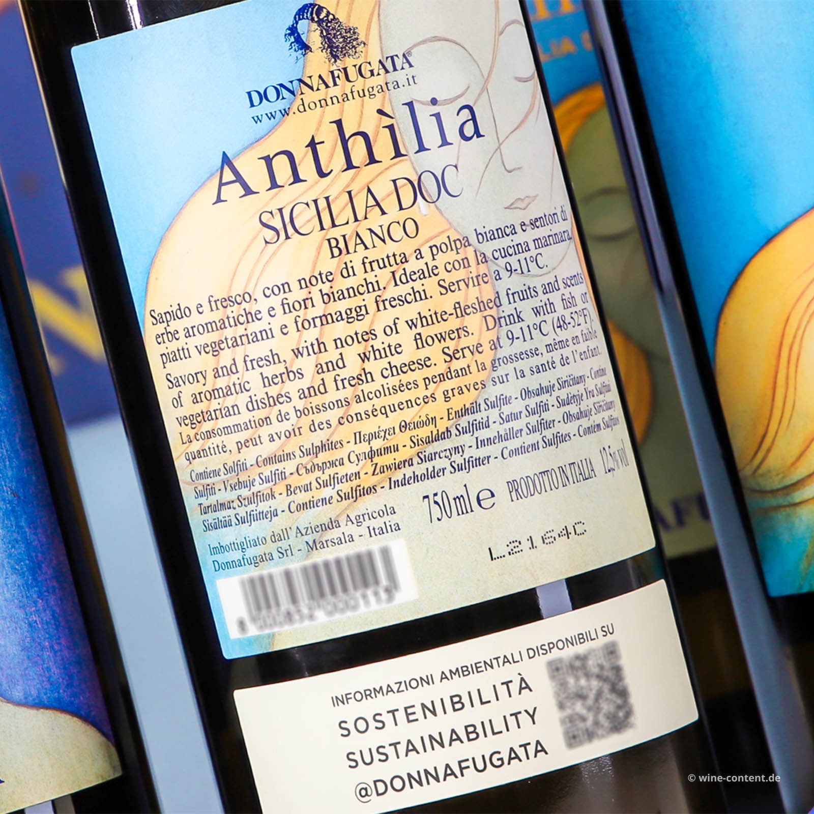 6er-Sparpaket Sicilia Bianco 2025 Anthilia