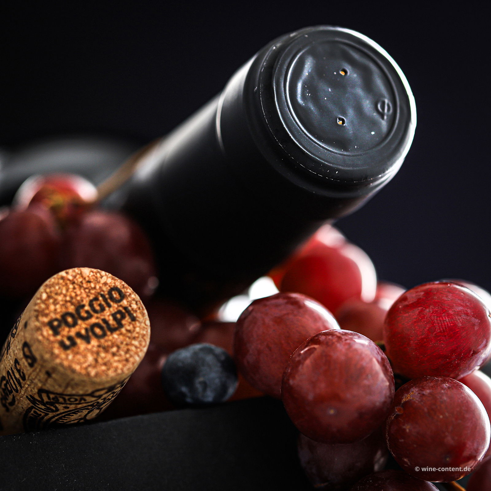 Primitivo 2023 Tator Collezione Privata