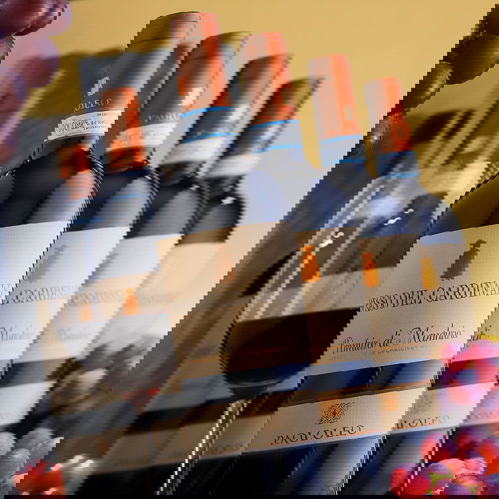 6er-Sparpaket Primitivo di Manduria 2023 Passo del Cardinale