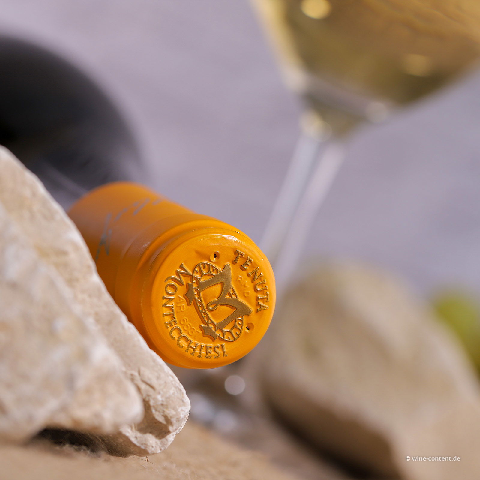 Vermentino-Chardonnay 2024 Tenuta Montecchiesi
