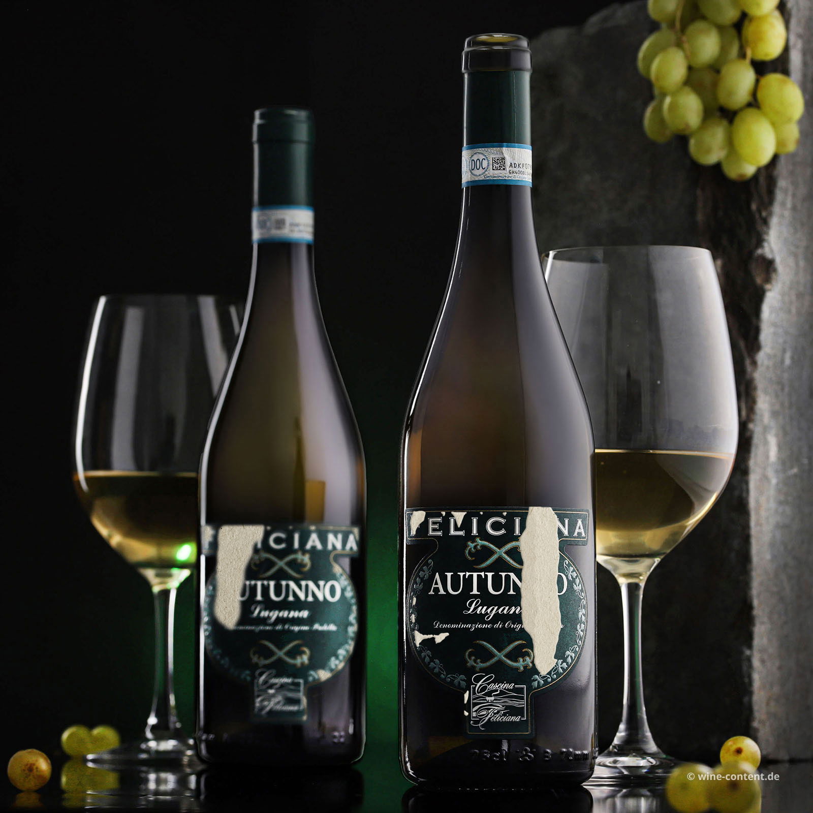 Lugana 2023 Autunno (Lagerschaden)