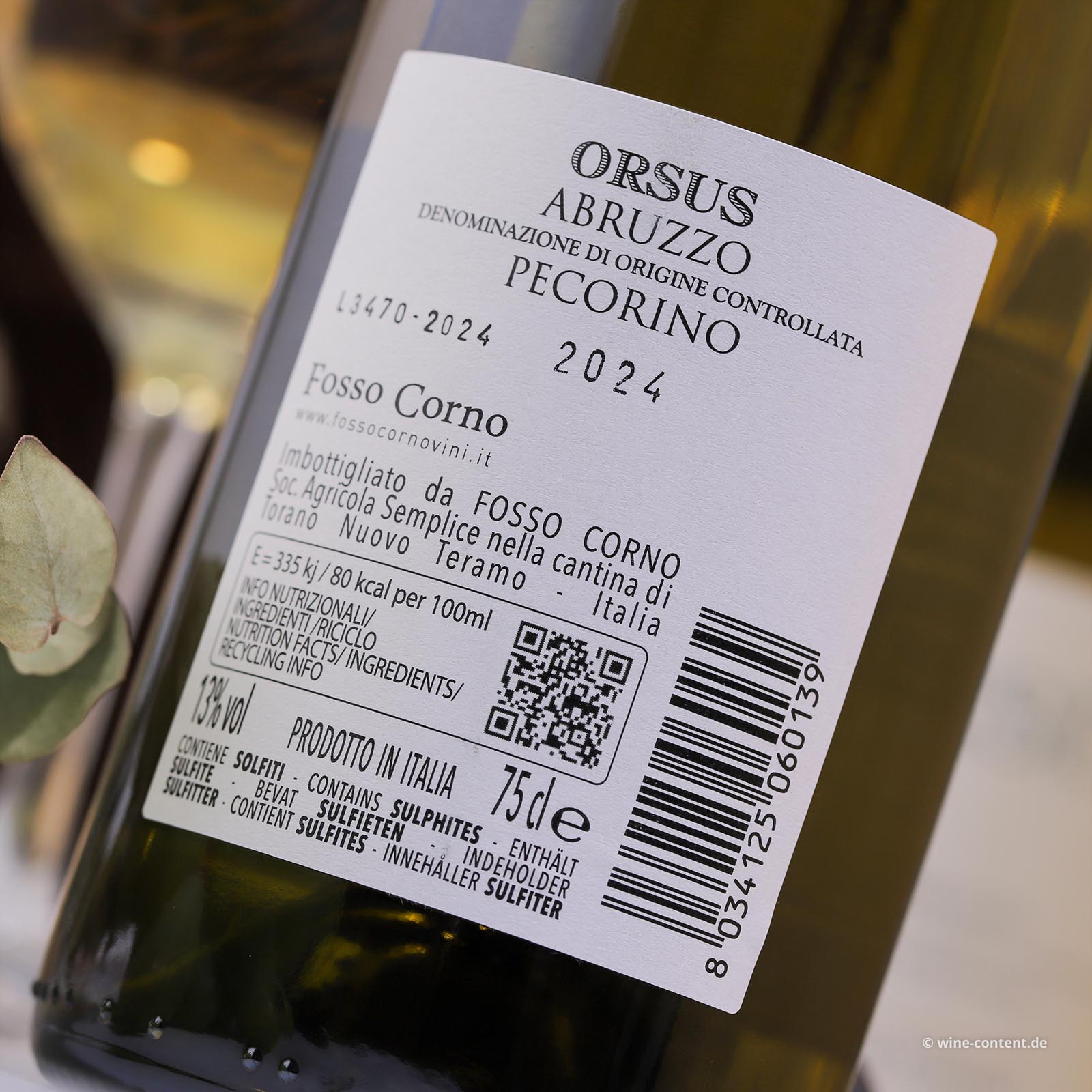 Pecorino Abruzzo 2024 Orsus