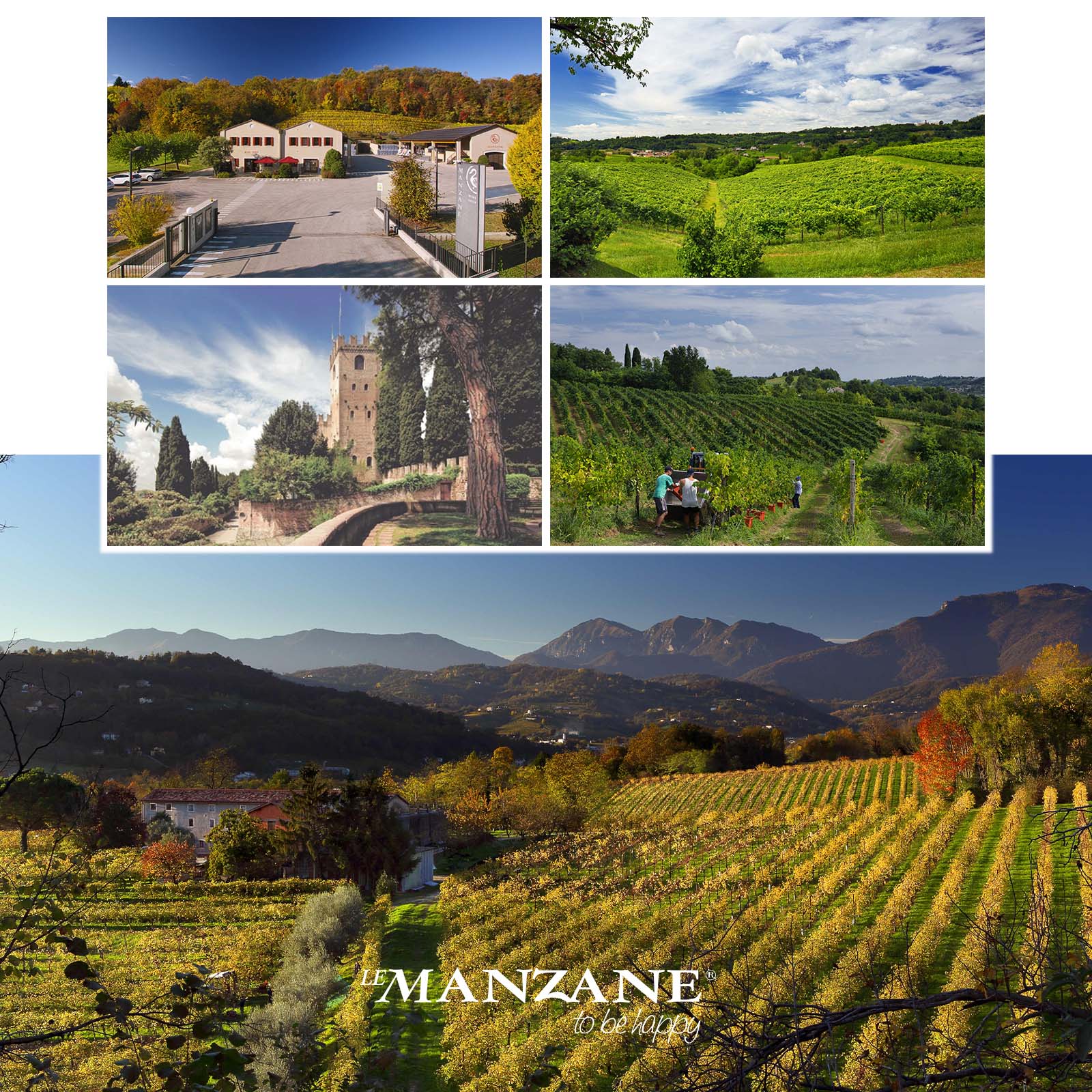 6er-Sparpaket Prosecco Superiore 2025 Rive di Rua Springo Black Brut