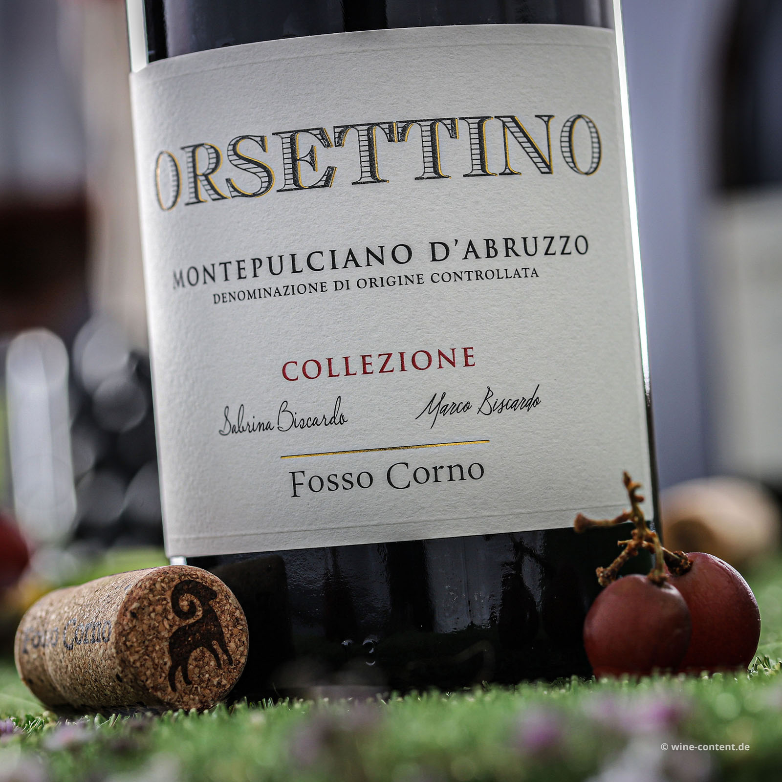 Montepulciano d´Abruzzo 2023 Orsettino