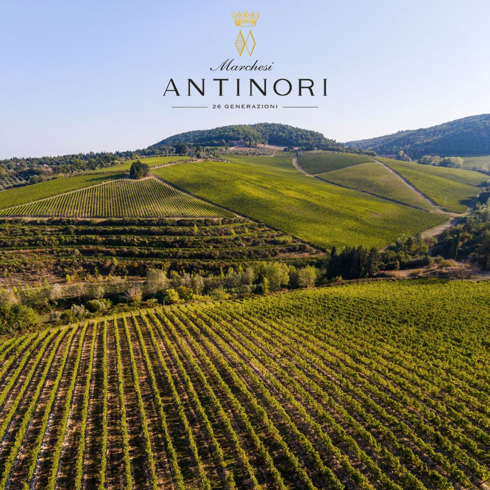 6er-Sparpaket Villa Antinori Bianco 2025