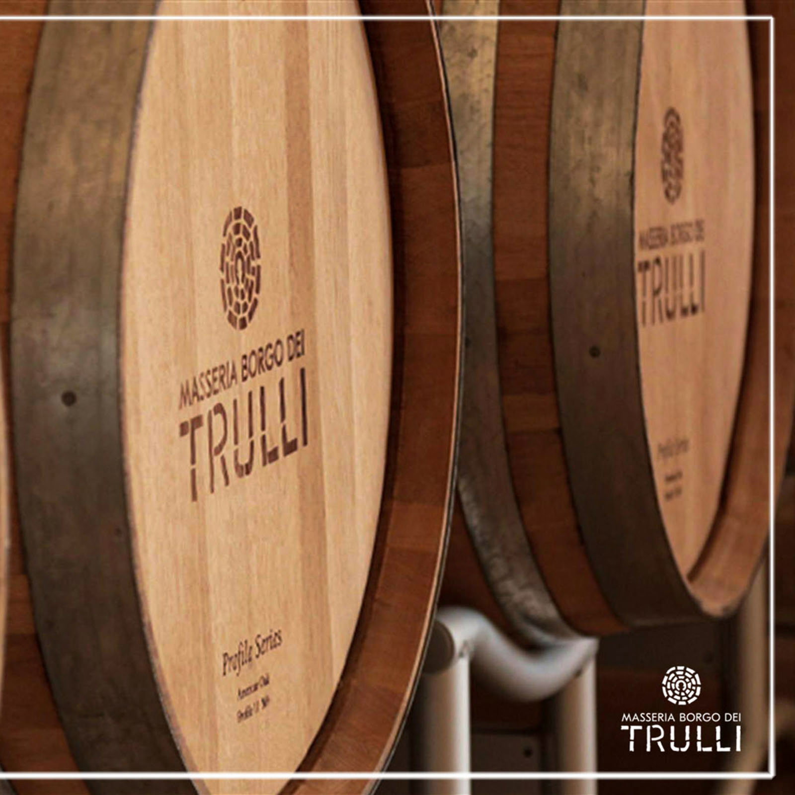 6er-Sparpaket Primitivo Appassimento 2025 Lucale
