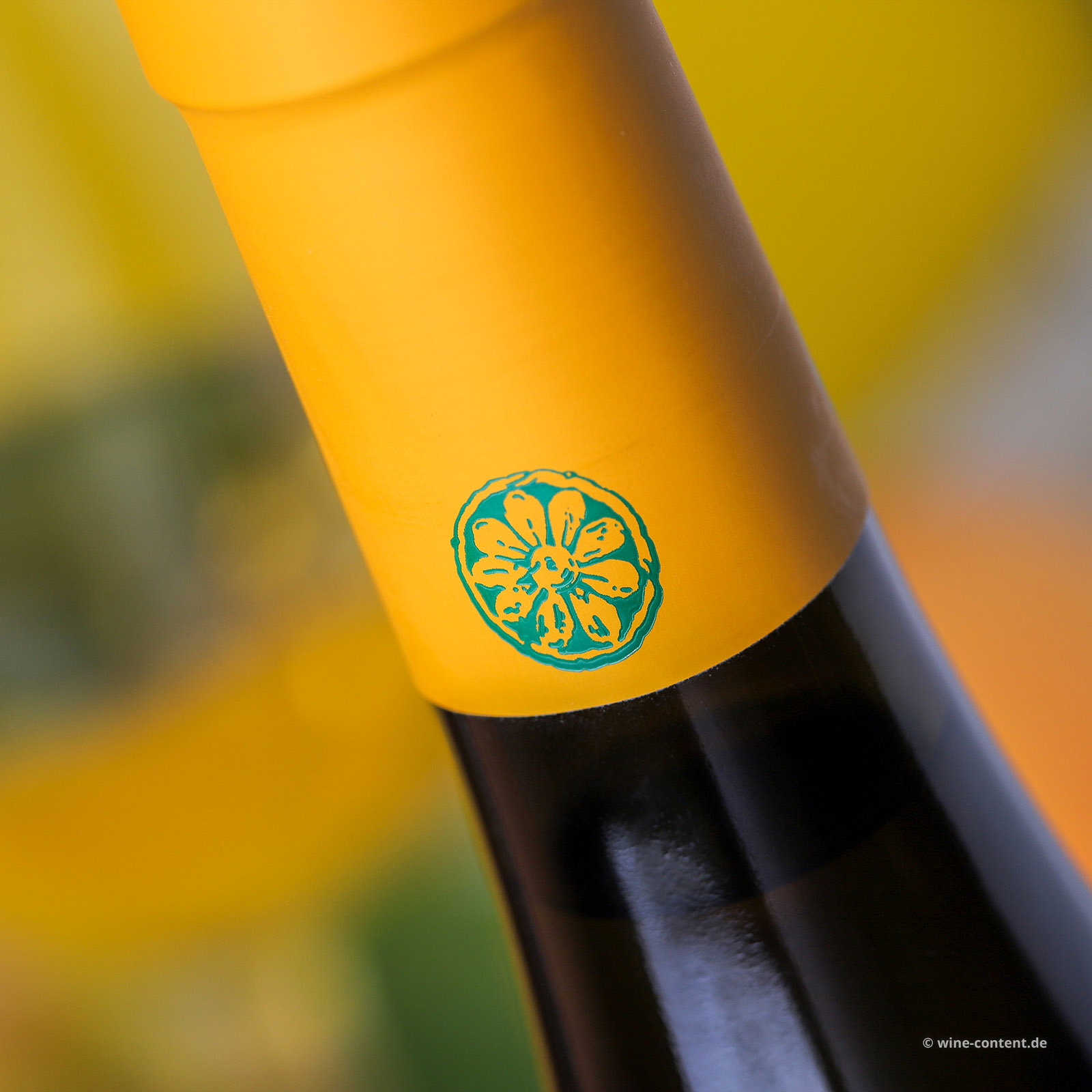 Vermentino Toscana 2025