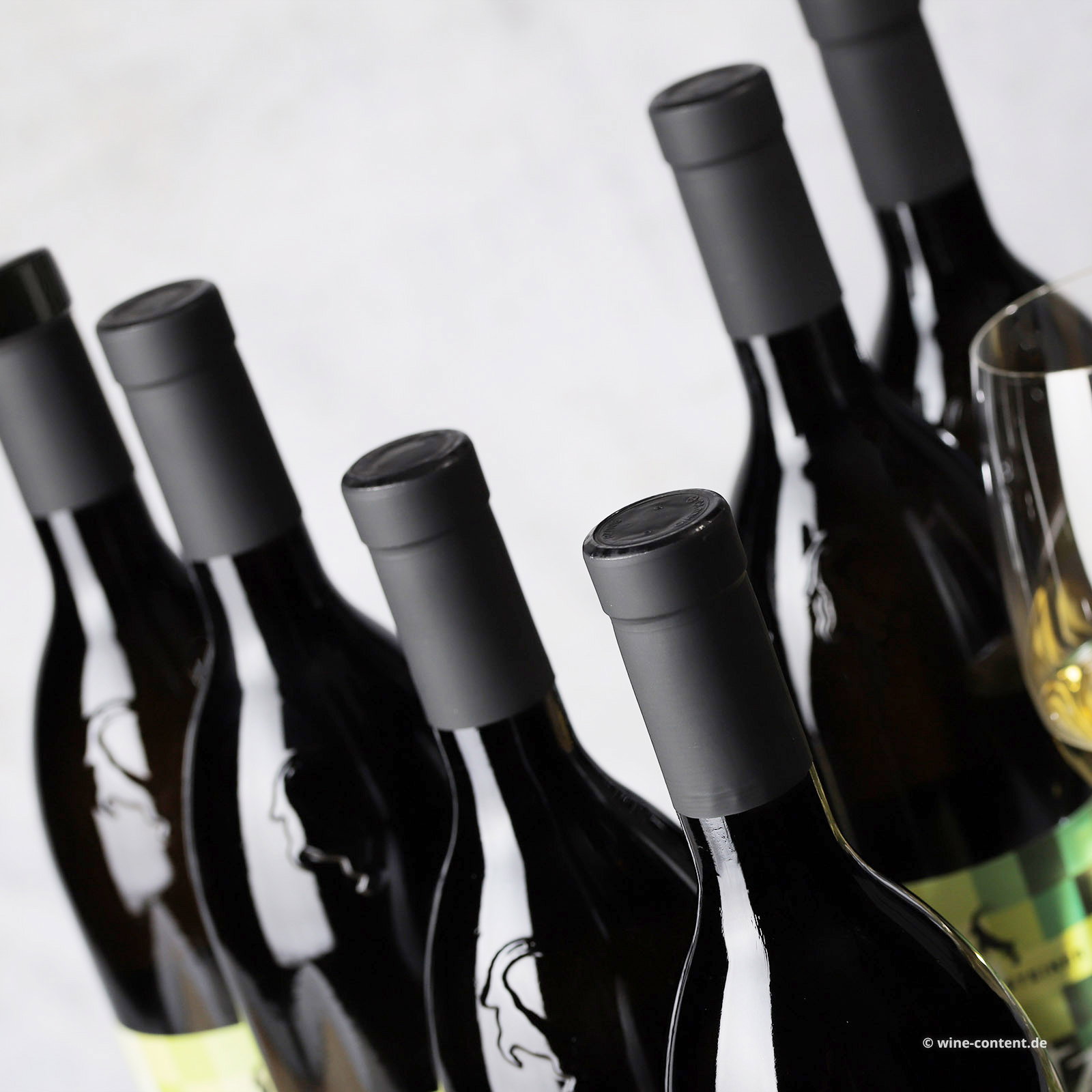 6er-Sparpaket Kitz 2025