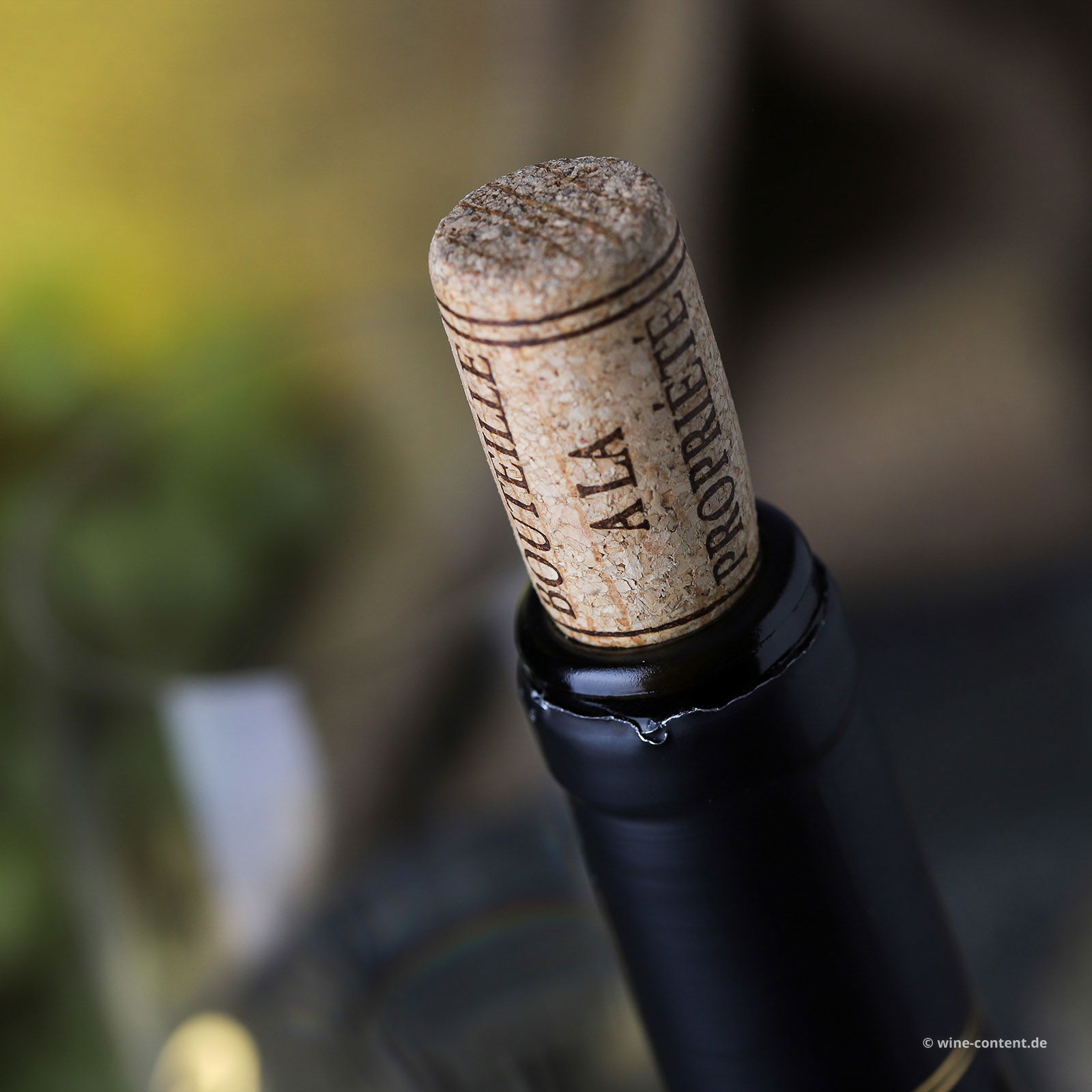 Pouilly-Fumé 2024