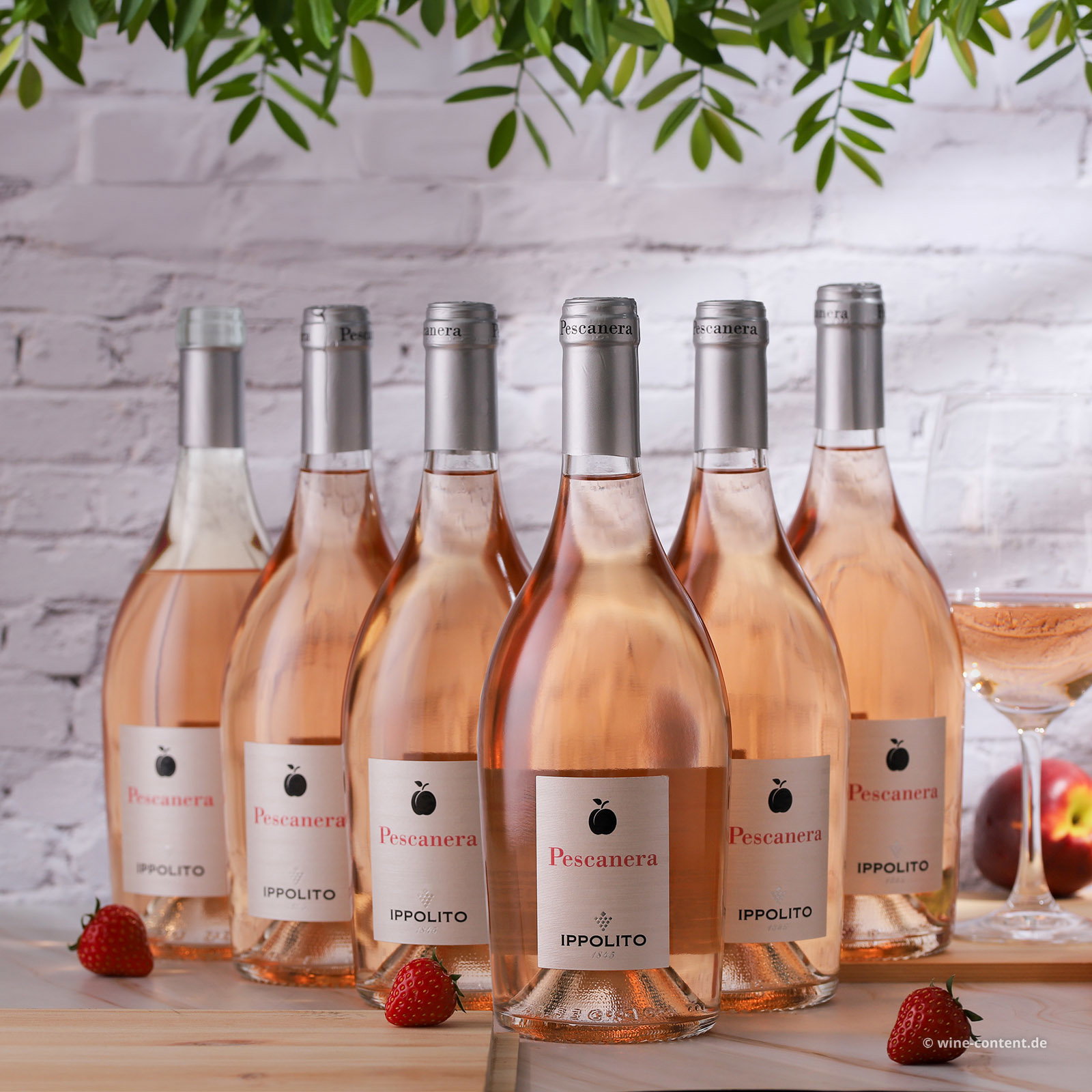 6er-Sparpaket Calabria Rosé 2025 Pescanera