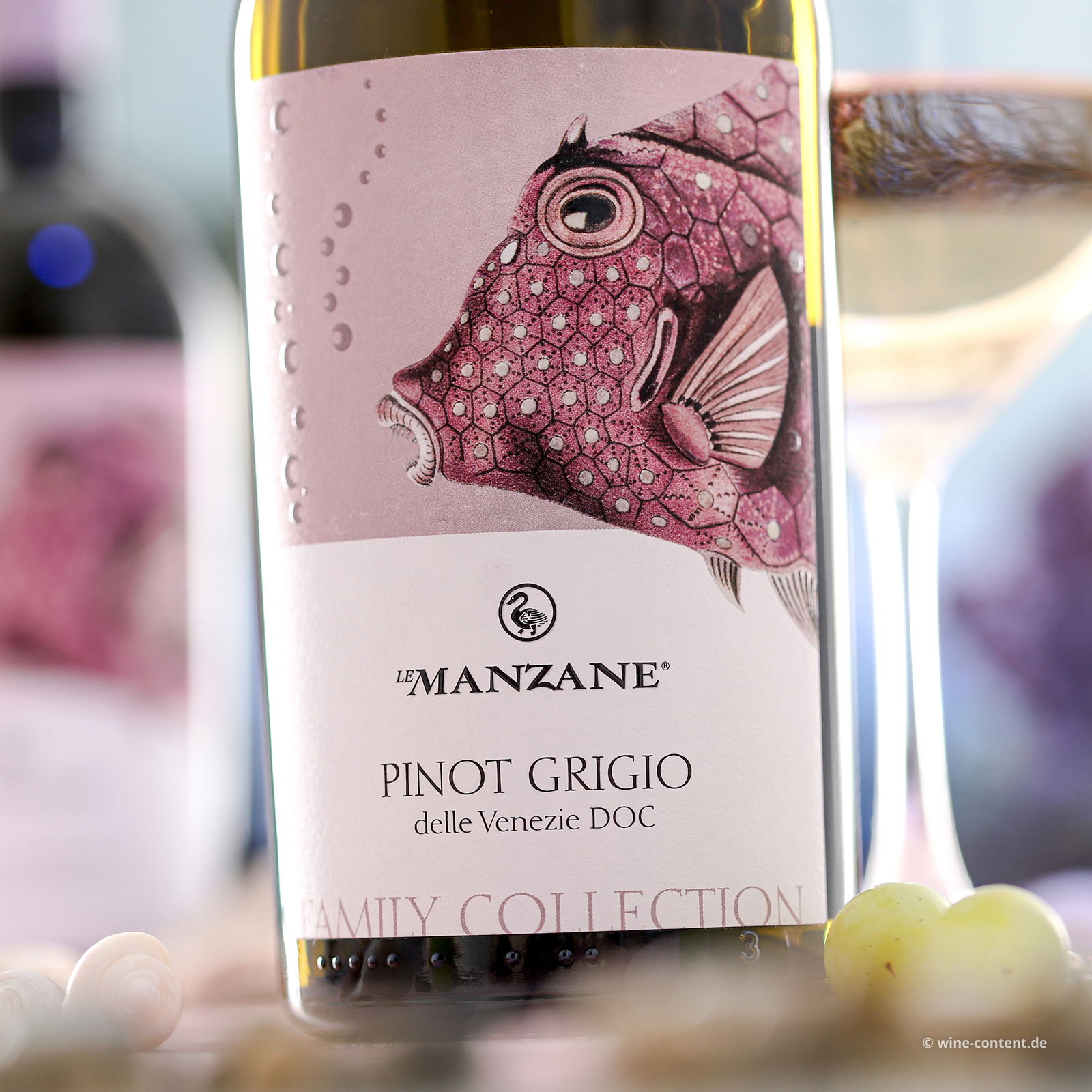 Pinot Grigio delle Venezie 2024
