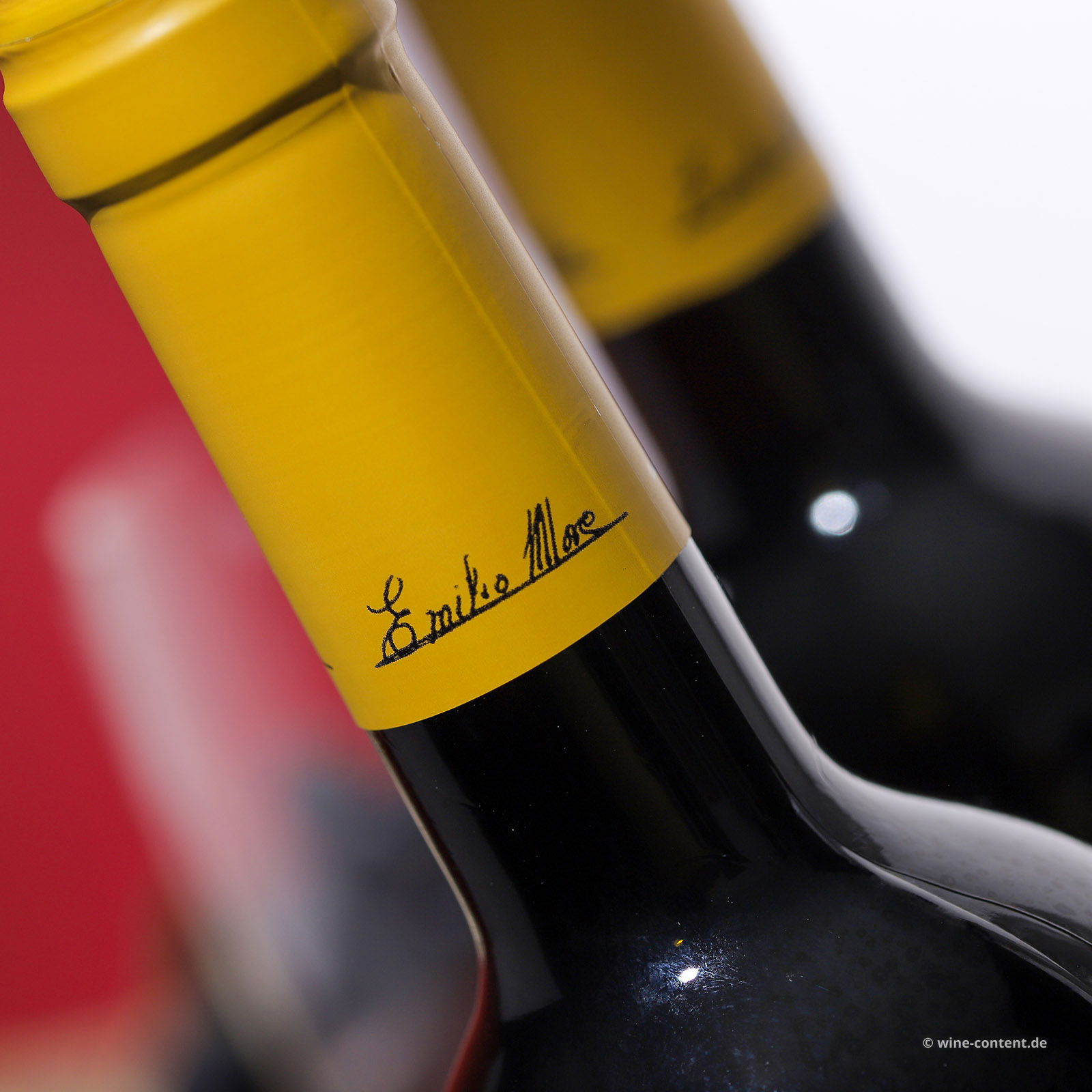 6er-Sparpaket Tempranillo 2024 Finca Resalso
