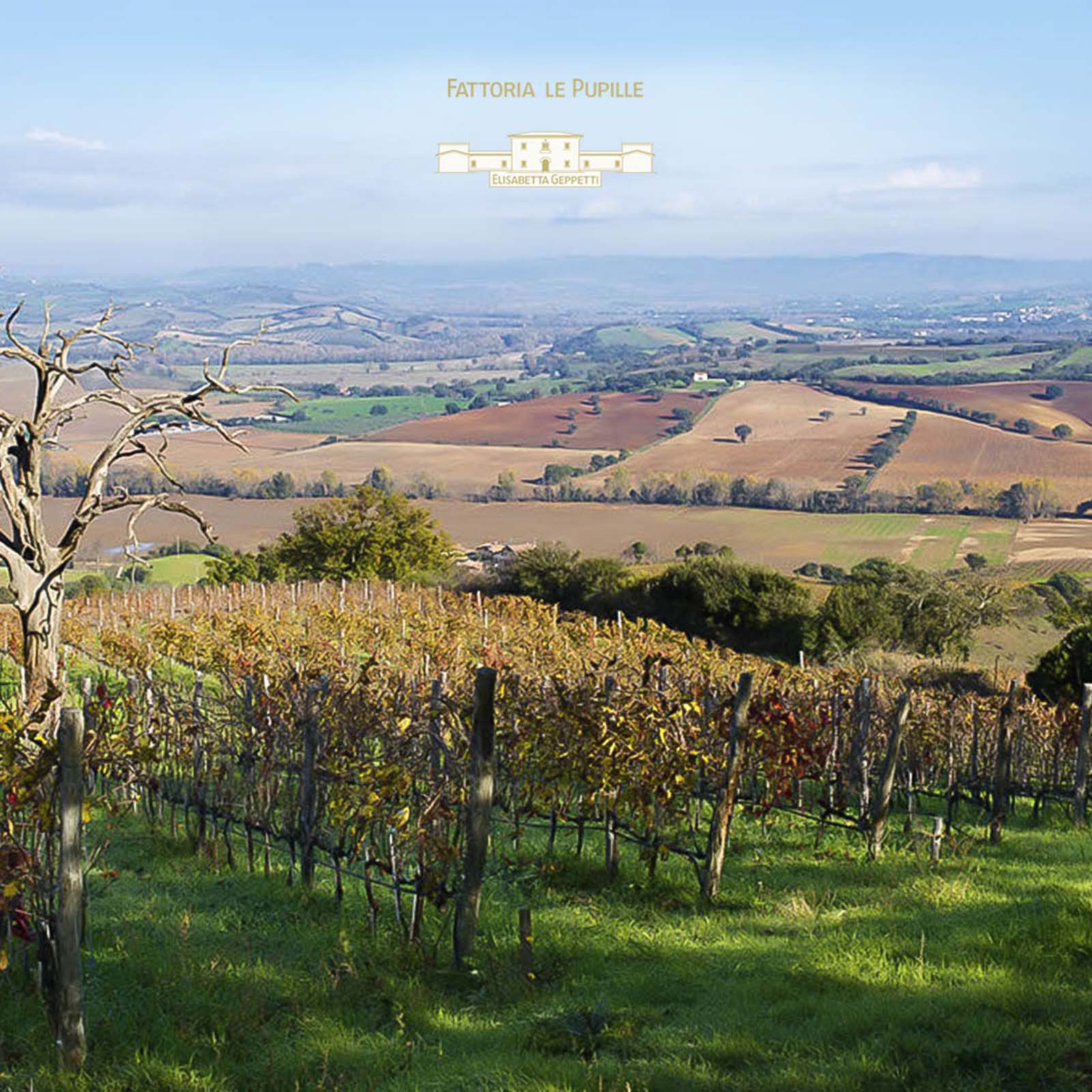 Poggio Valente 2019