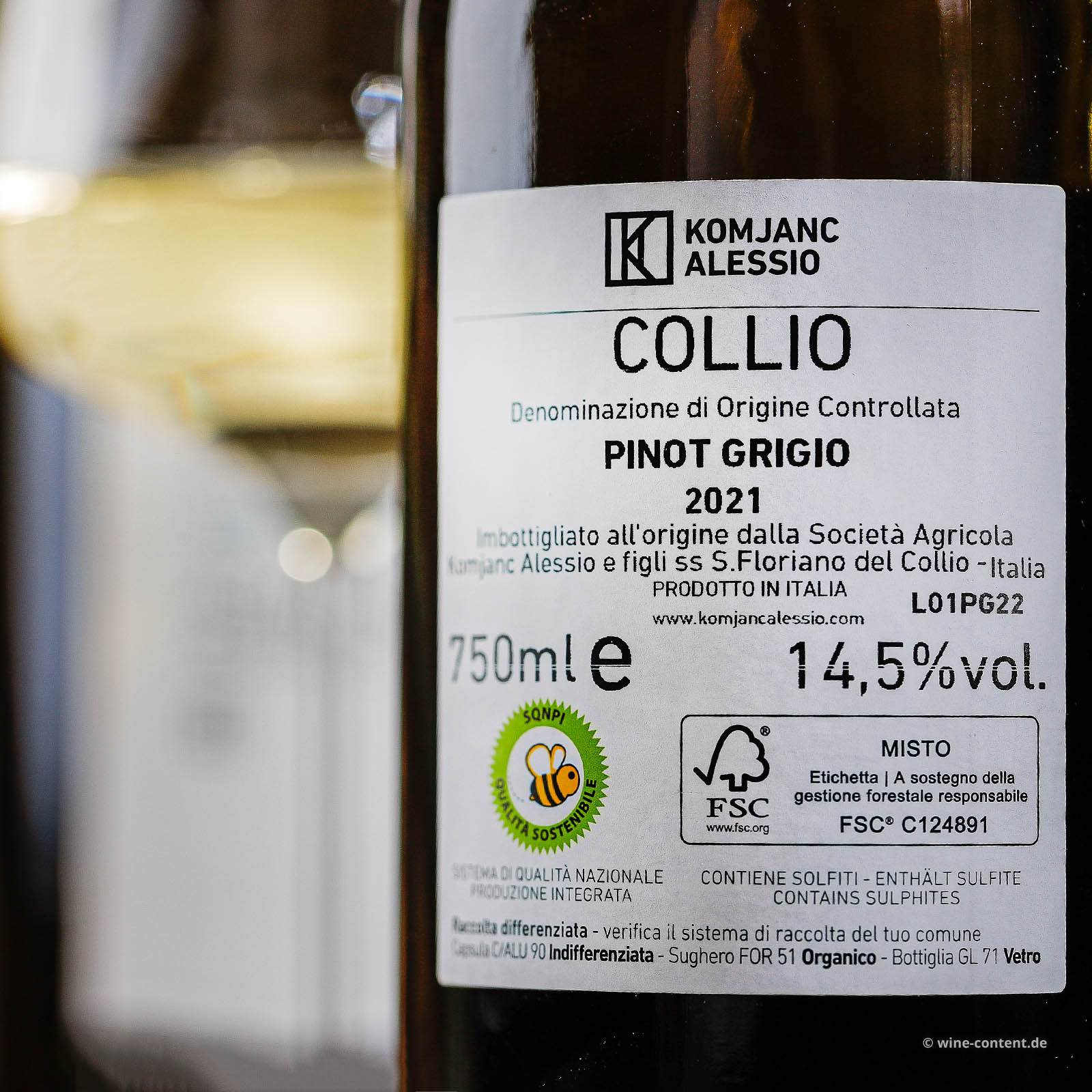 Pinot Grigio 2021 Collio