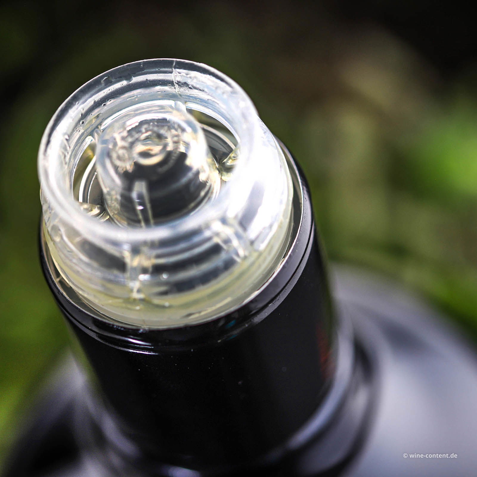 0,5 L Olivenöl Extra Vergine 2025 Biancolilla