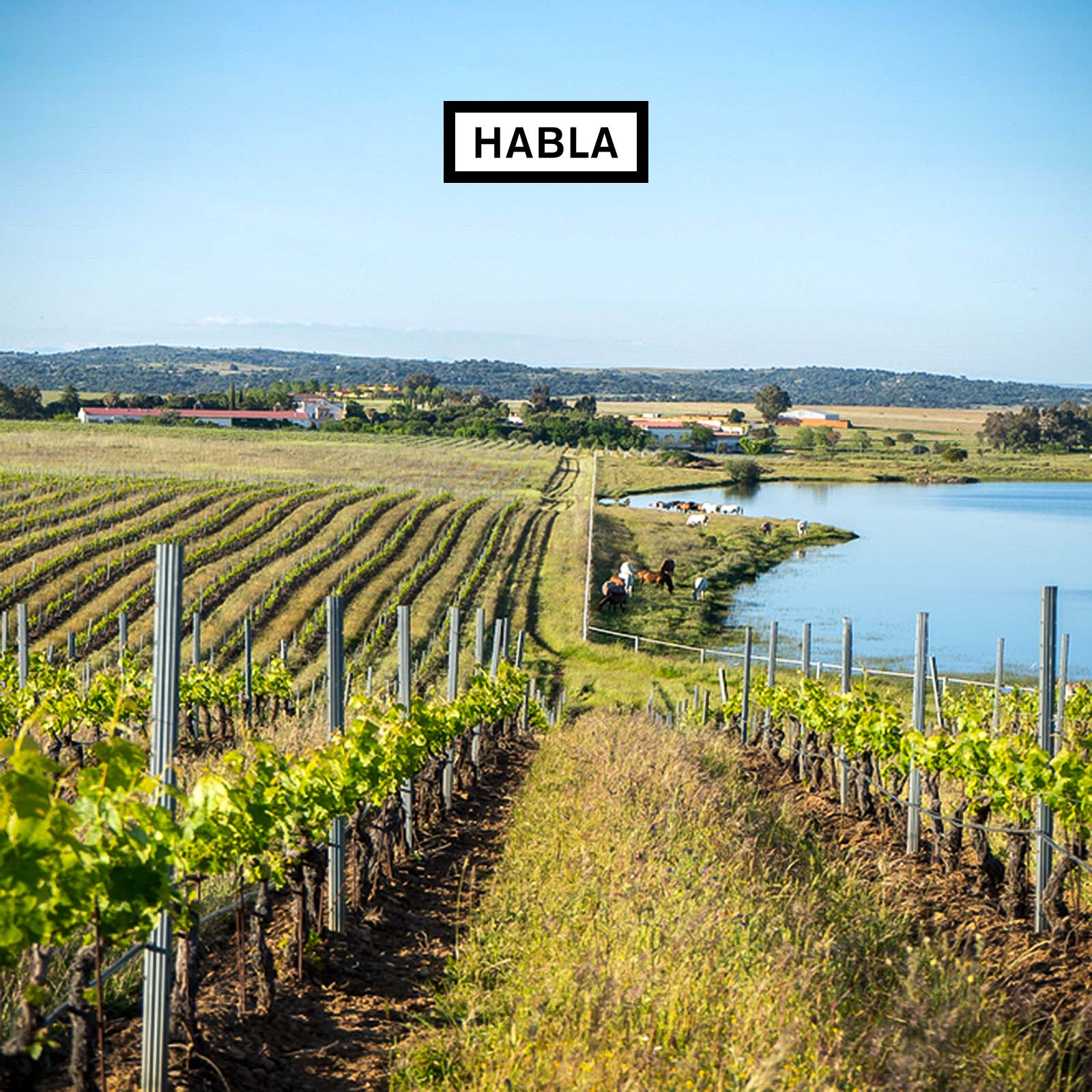 6er-Sparpaket Habla la Tierra 2023