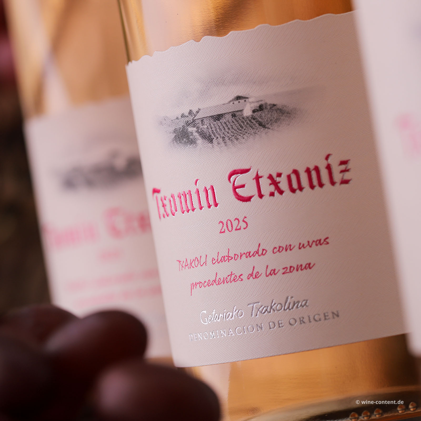 6er-Sparpaket Txakoli Rosado 2025