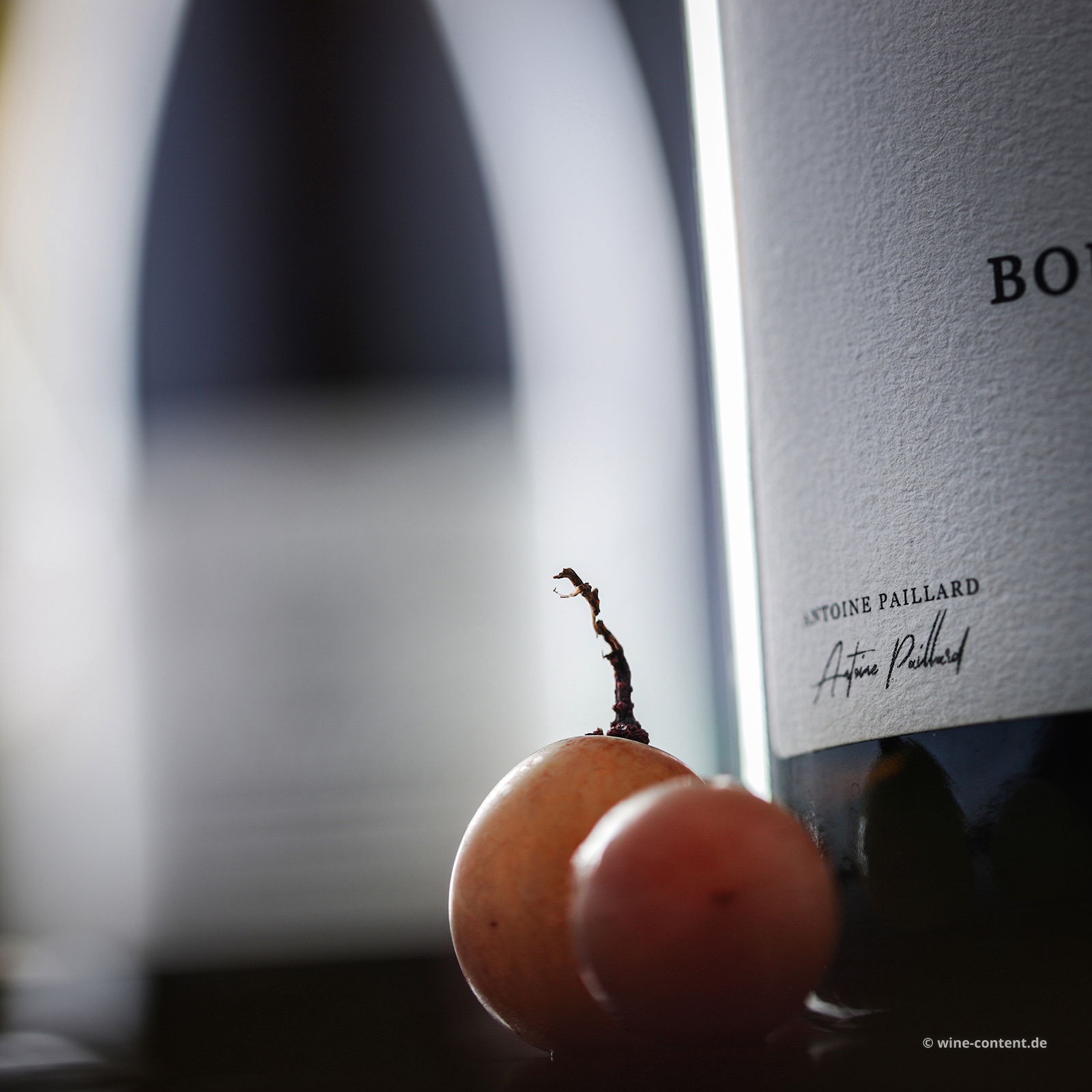 Champagner Les Terres Roses Bouzy Grand Cru Extra Brut