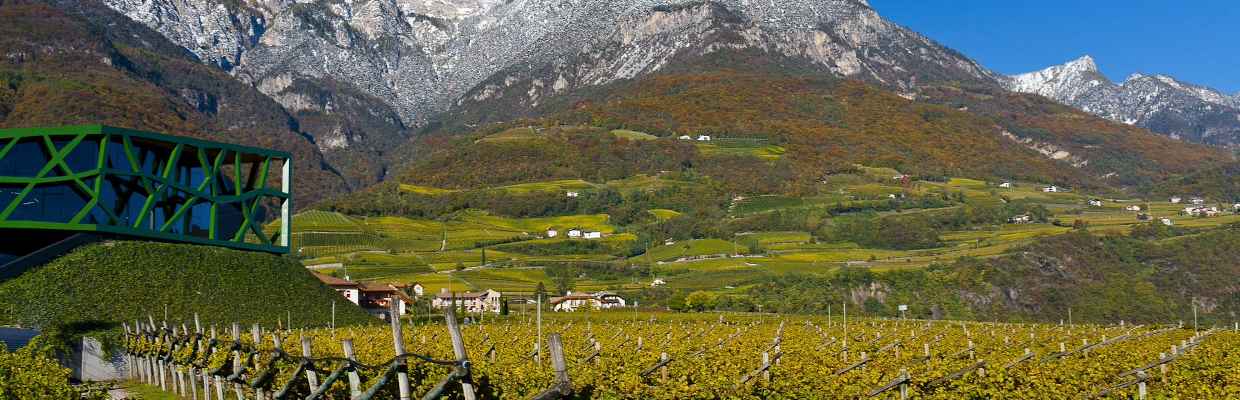 Kellerei Tramin